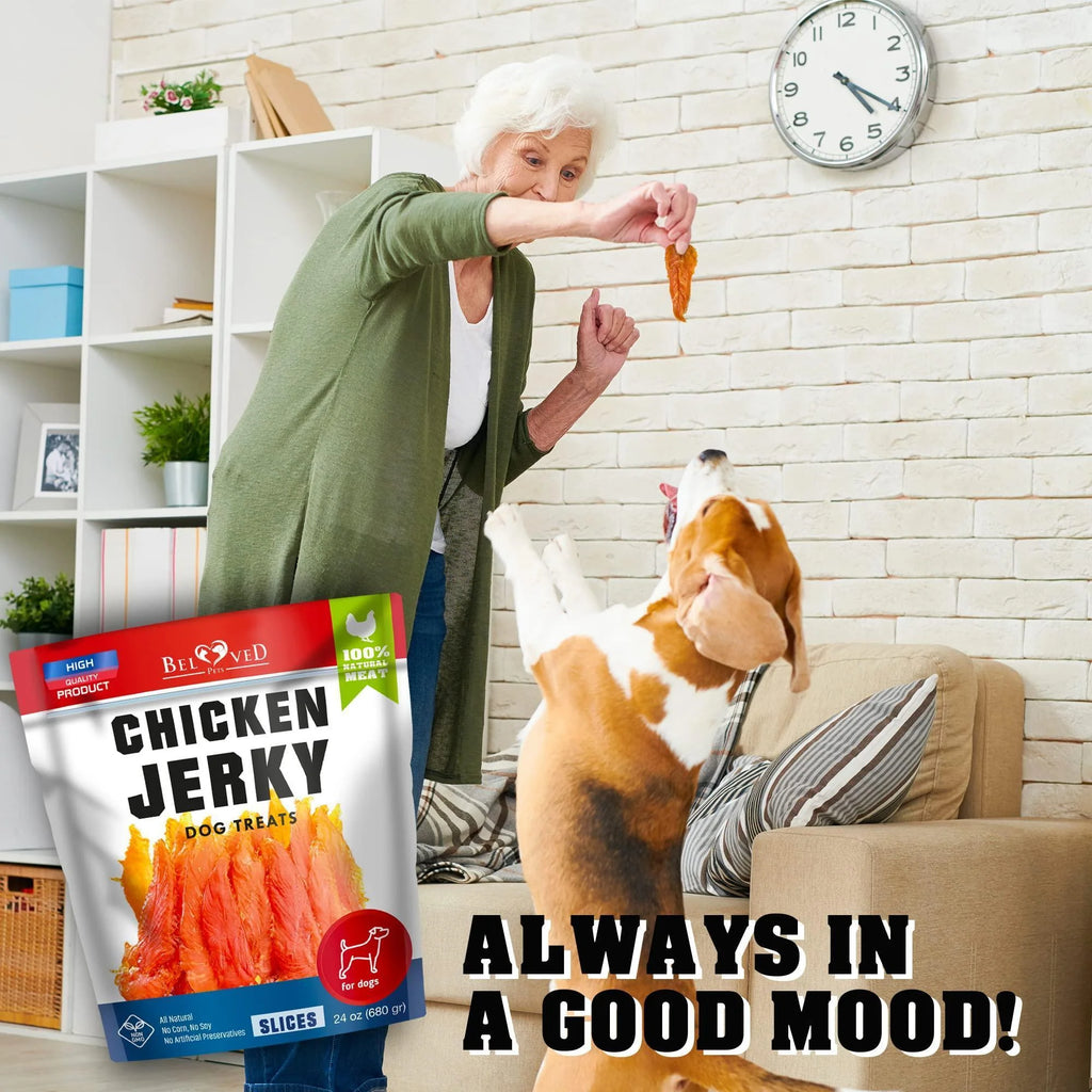 Chicken Jerky Dog Treats 1.5 Lb Human-Grade Grain-Free