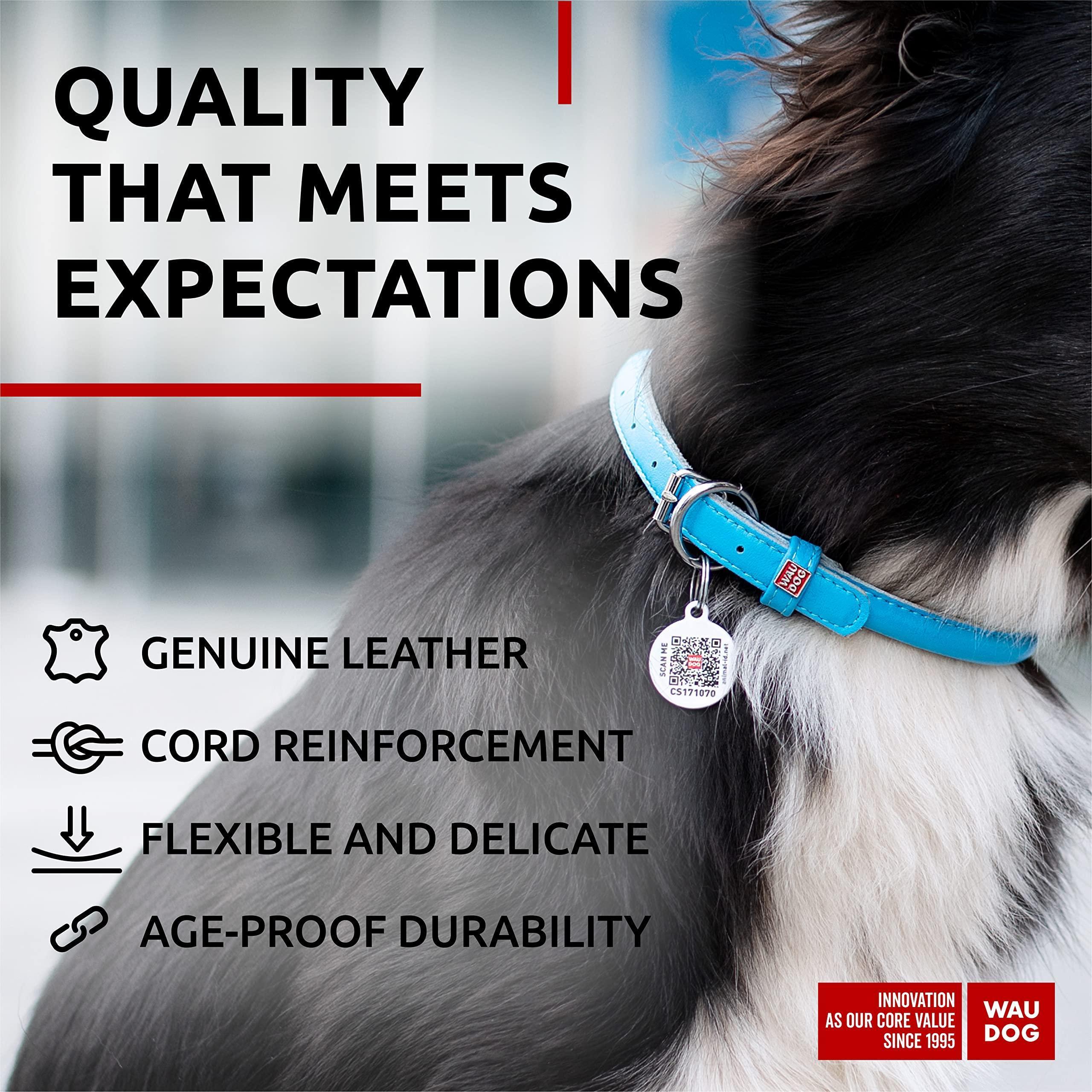 Ultra Soft Rolled Leather Dog Collar for Small Dogs Soft Padded Dog Collars
