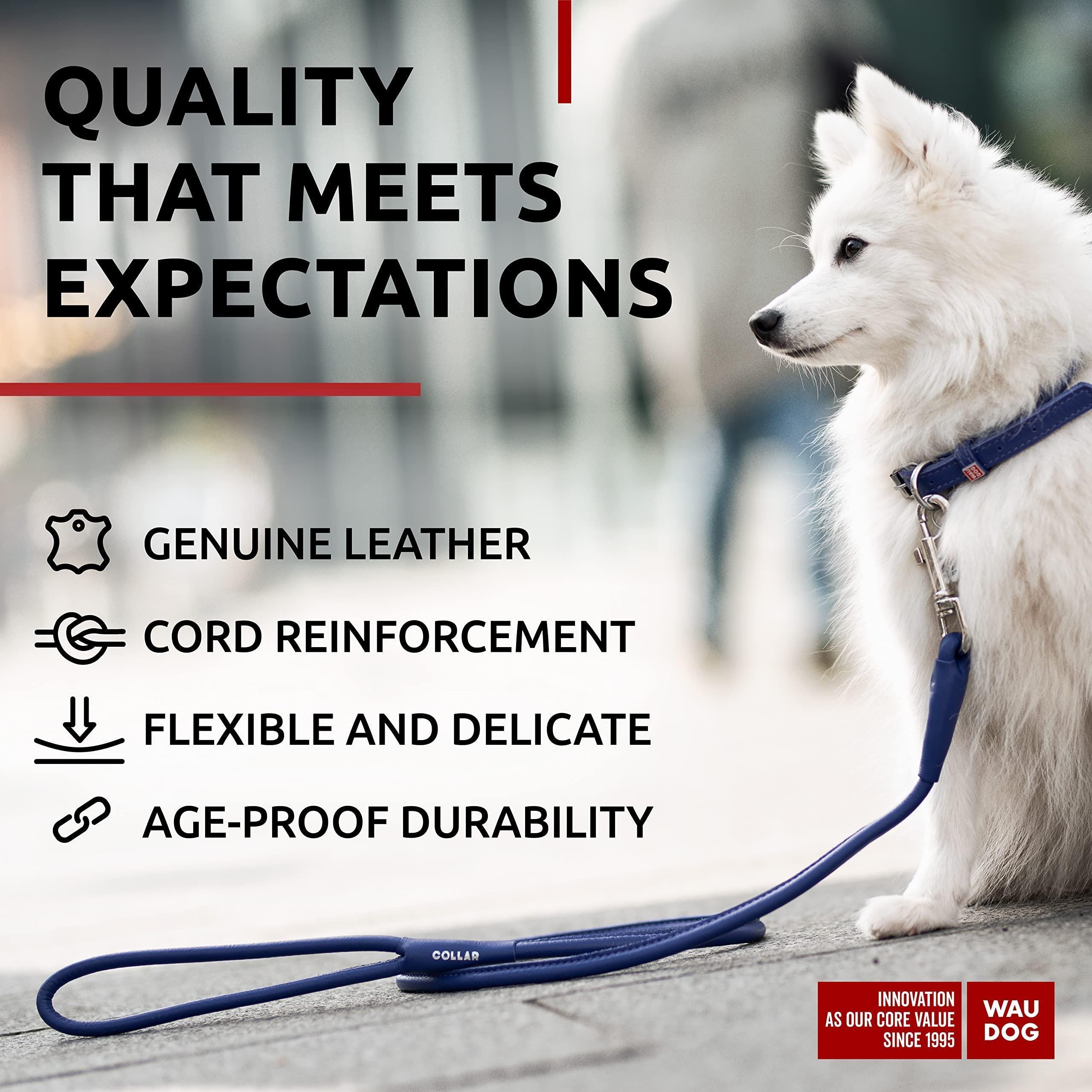 Rolled Leather Dog Leash 4 Ft X 0.3 in All Sizes Purple
