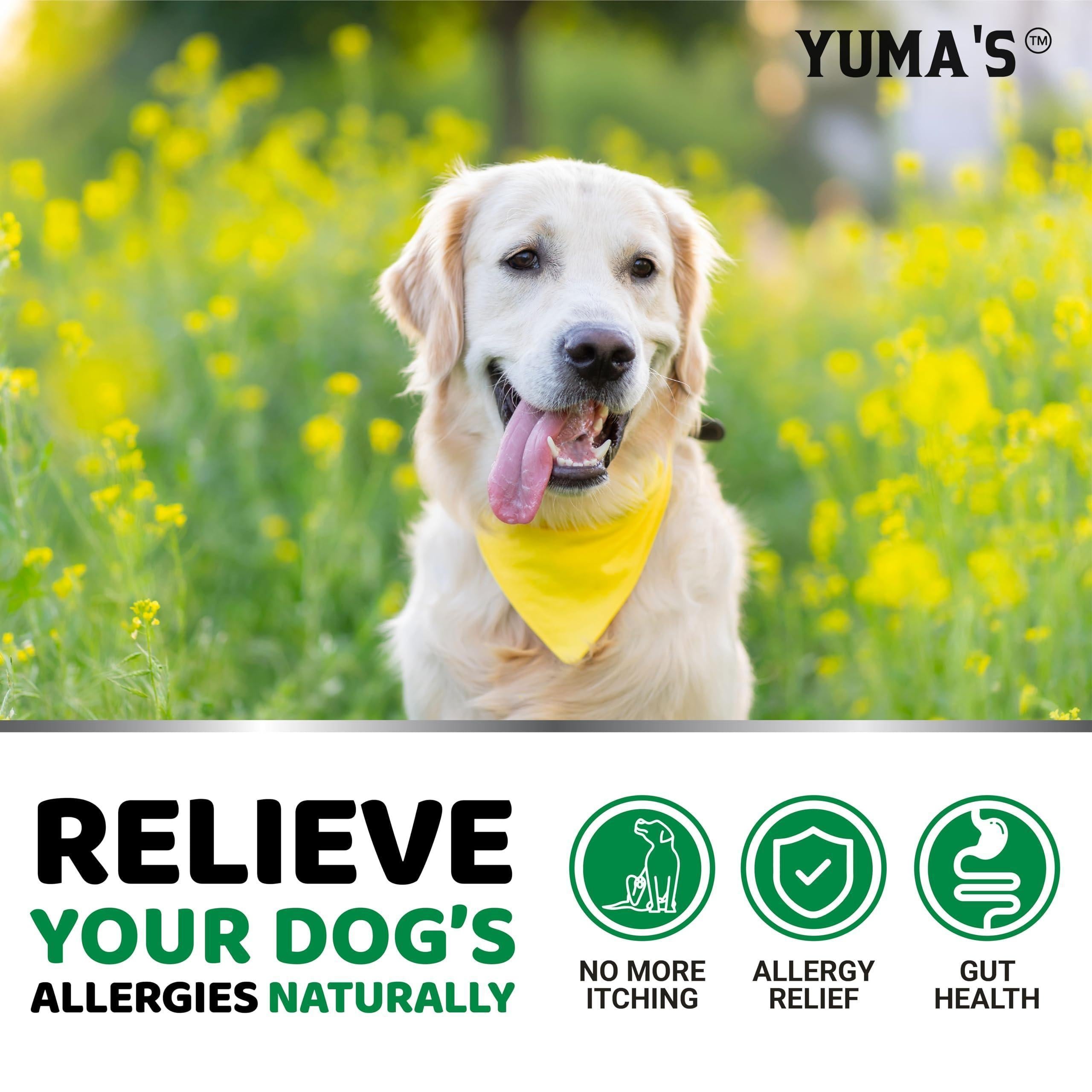 Dog Allergy Relief Chews 170 Count Itchy Skin Relief