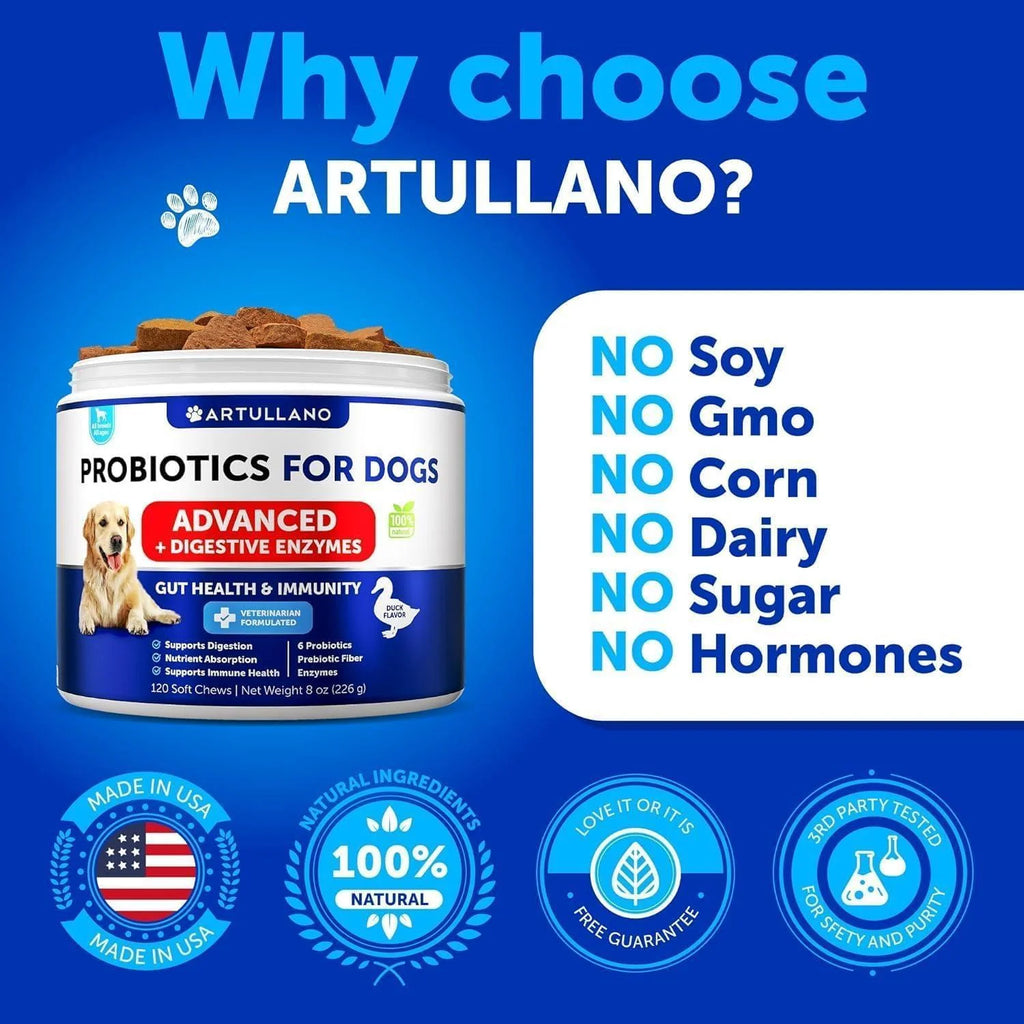 Probiotics for Dogs Gut Health Itchy Skin & Immune Support