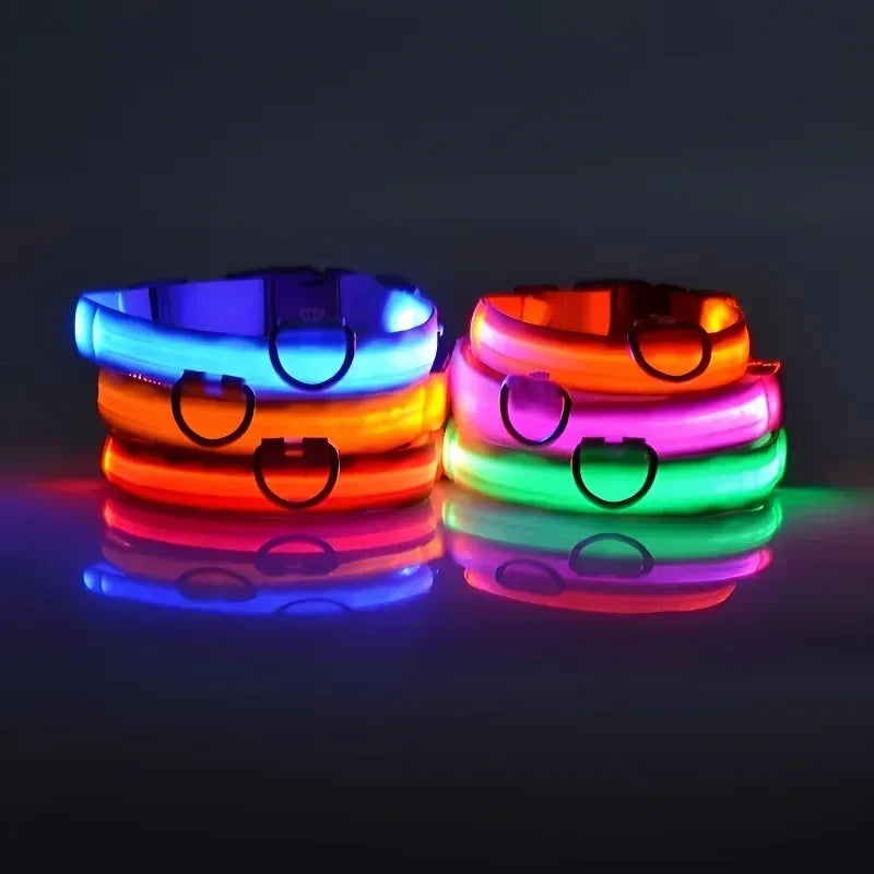 Dog Collar Nylon LED Night Safety Flashing Glow in the Dark Pet Dog Leash Pet Dogs Luminous Fluorescent Dog Accessories Collar (L)