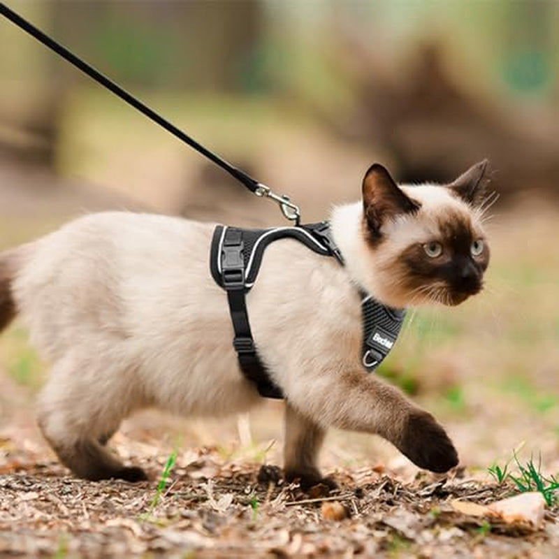 Cat Harness, Cat Harness and Leash for Walking, Adjusted in Four Directions and Breathable Cat Harness for anti Escape That Can Be Fitted and Positioned, Reflective Strips Harness, Black