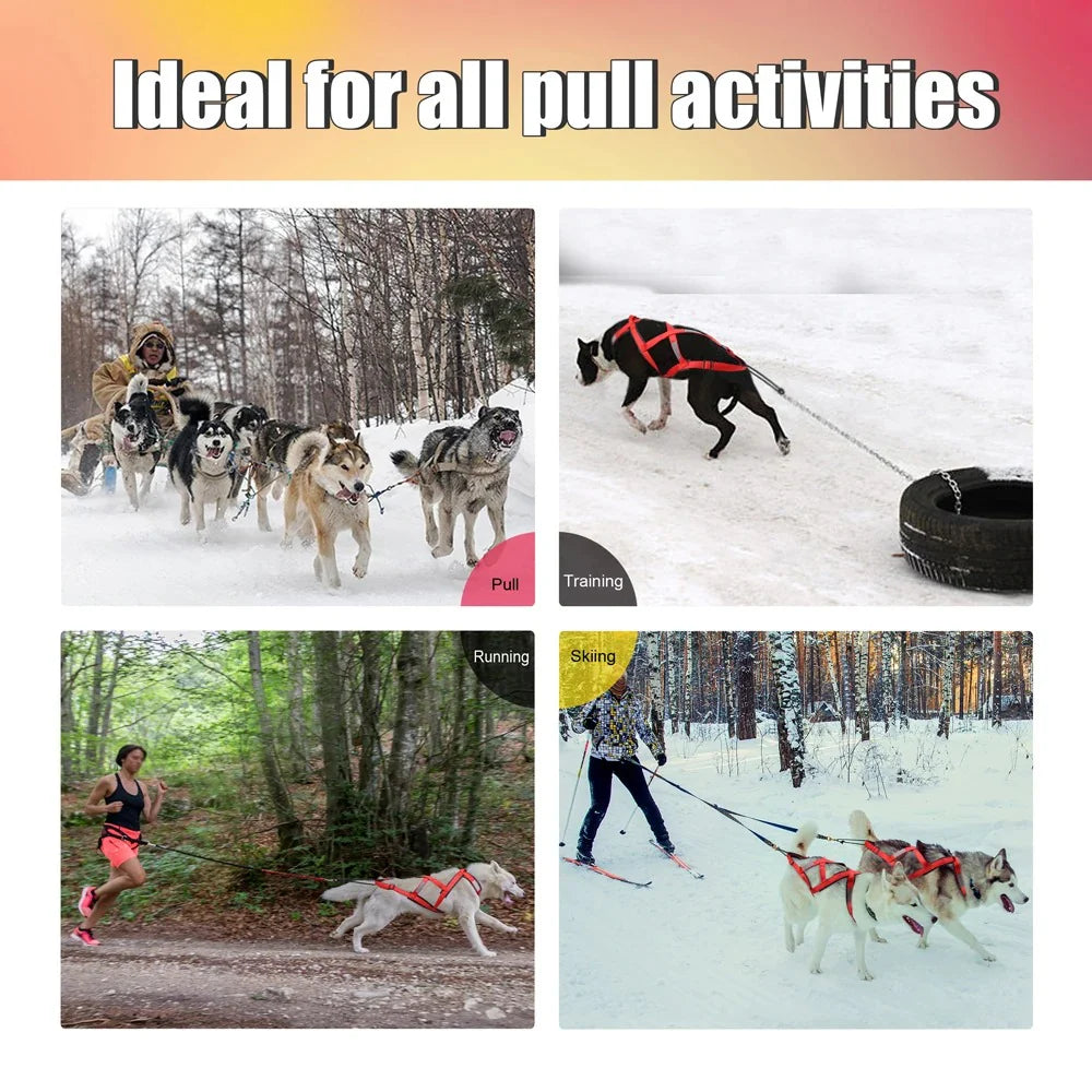 Waterproof Dog Sledding Harness Reflective Pet Sledding Skijoring Harness Big Large Dogs Weight Pulling Vest for Pet Training (65Cm - 85Cm)
