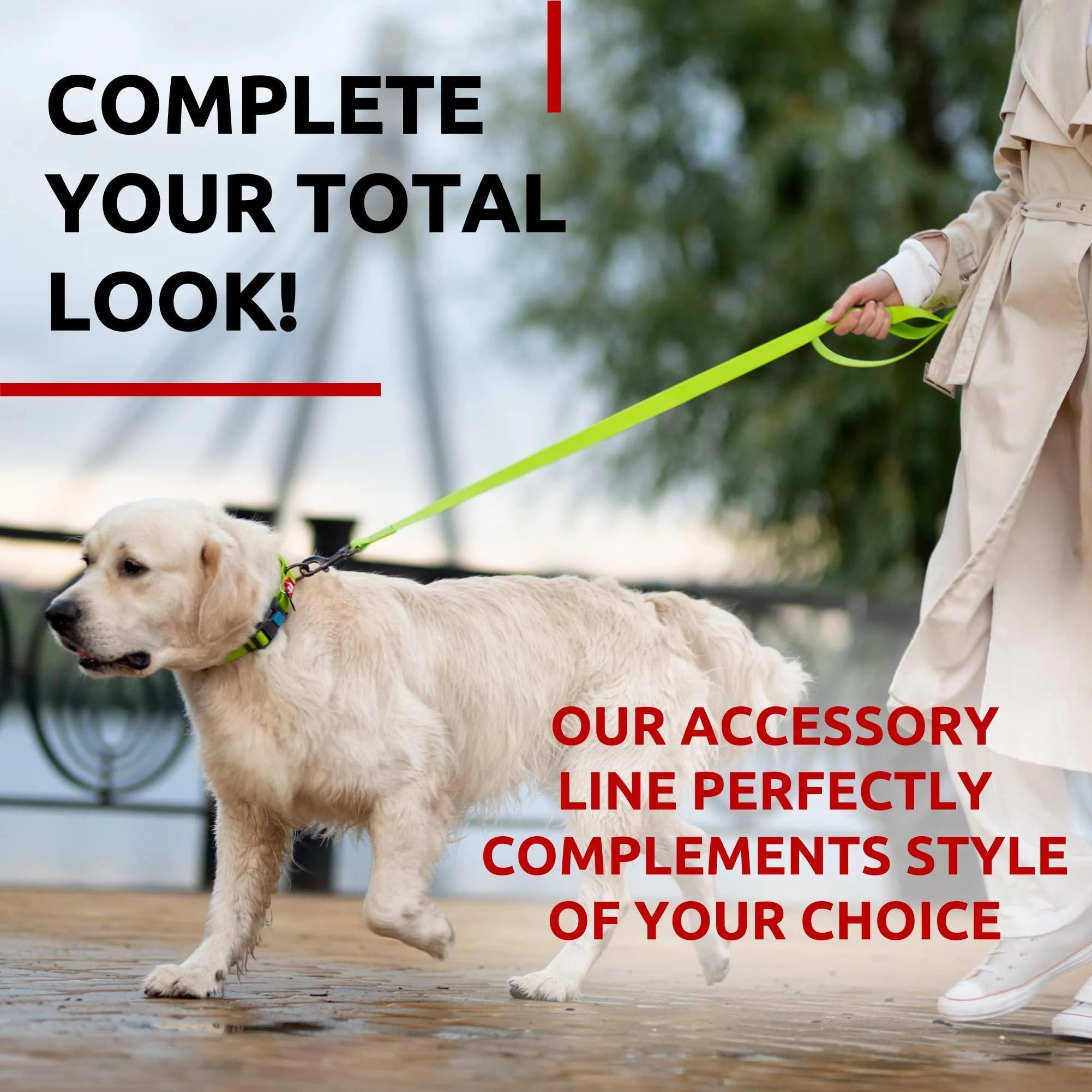 Waterproof Dog Leash 4 Ft & 6 Ft Anti-Slip All Sizes Green