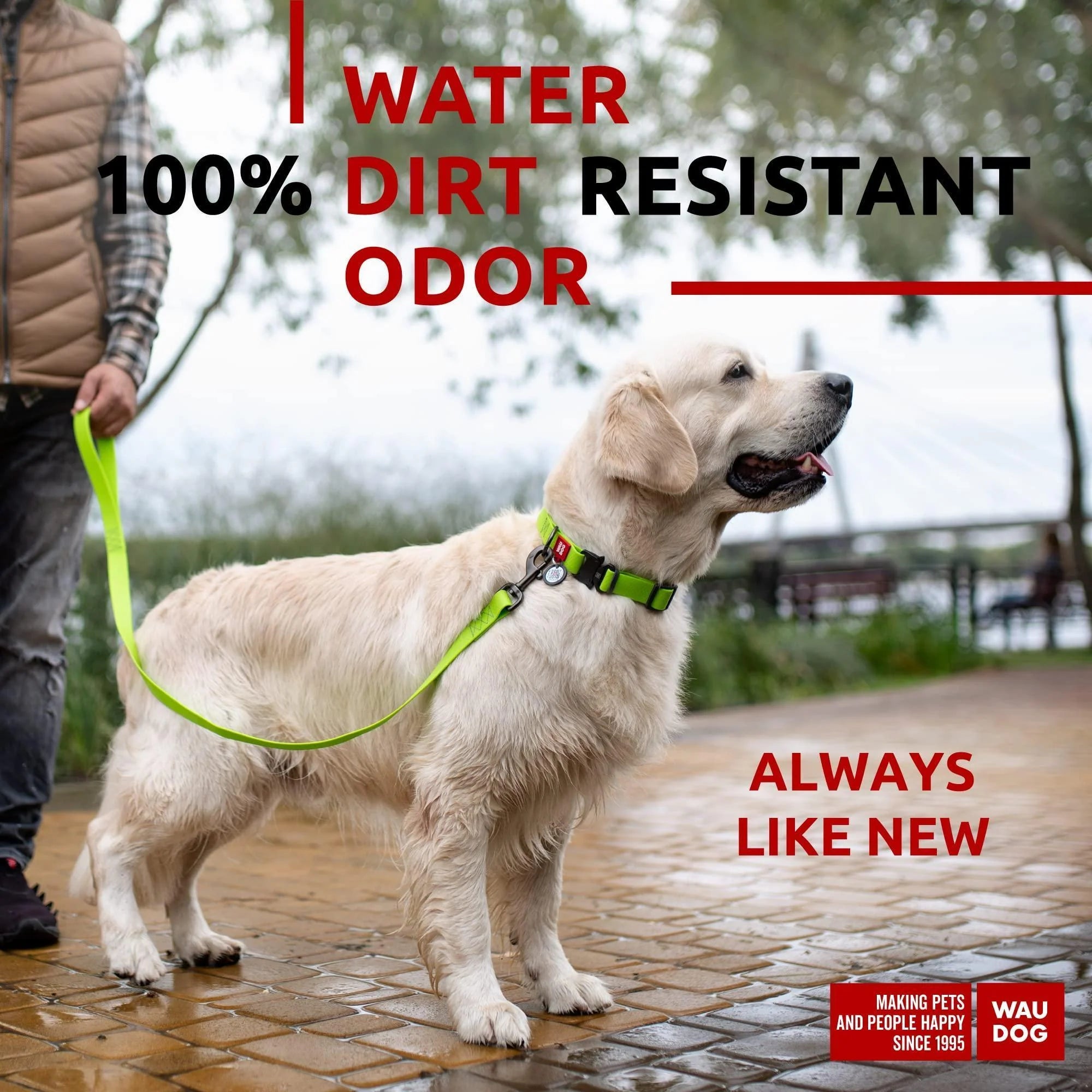Waterproof Dog Leash 4 Ft & 6 Ft Anti-Slip All Sizes Green