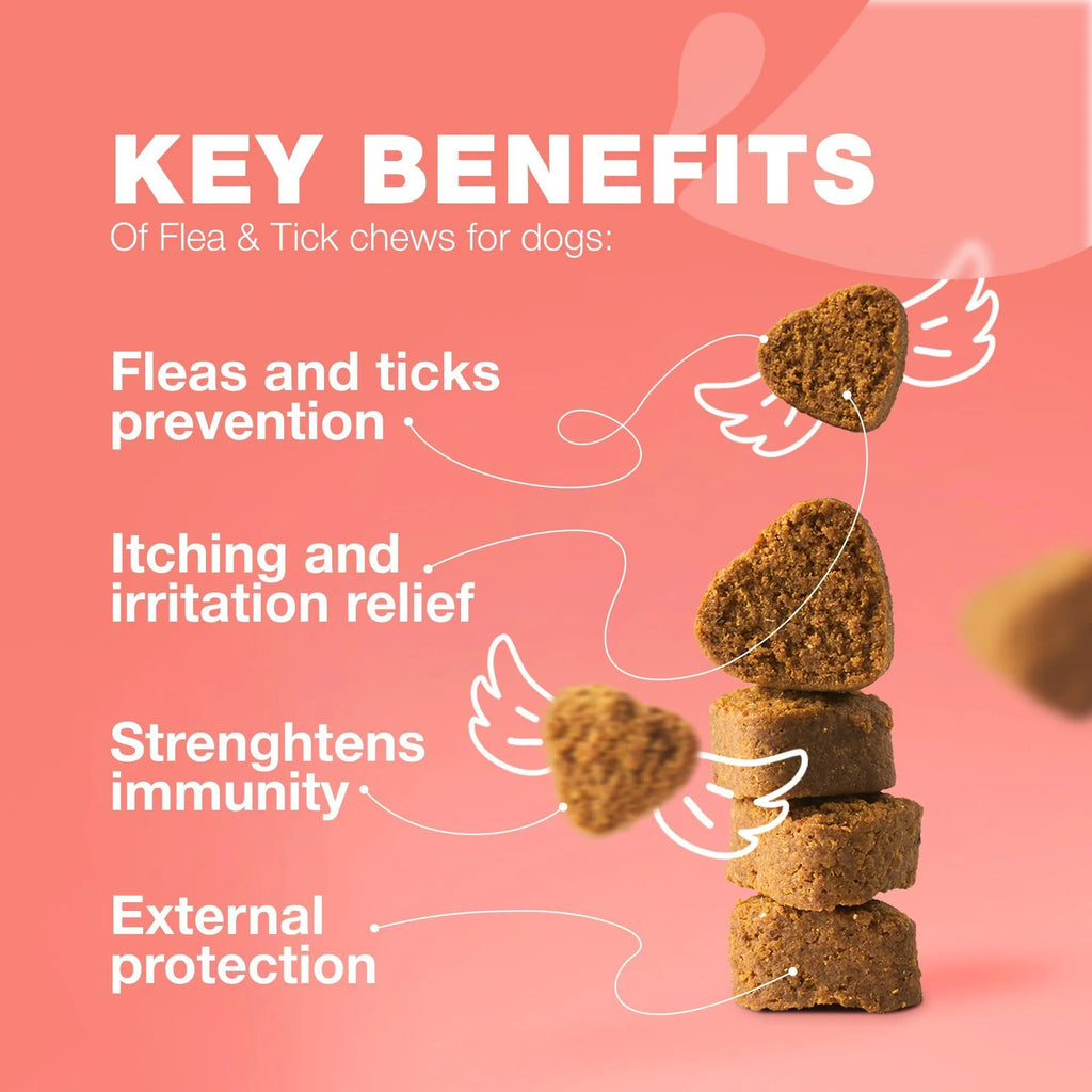 Dog Insects Treatment Chews Insects Control