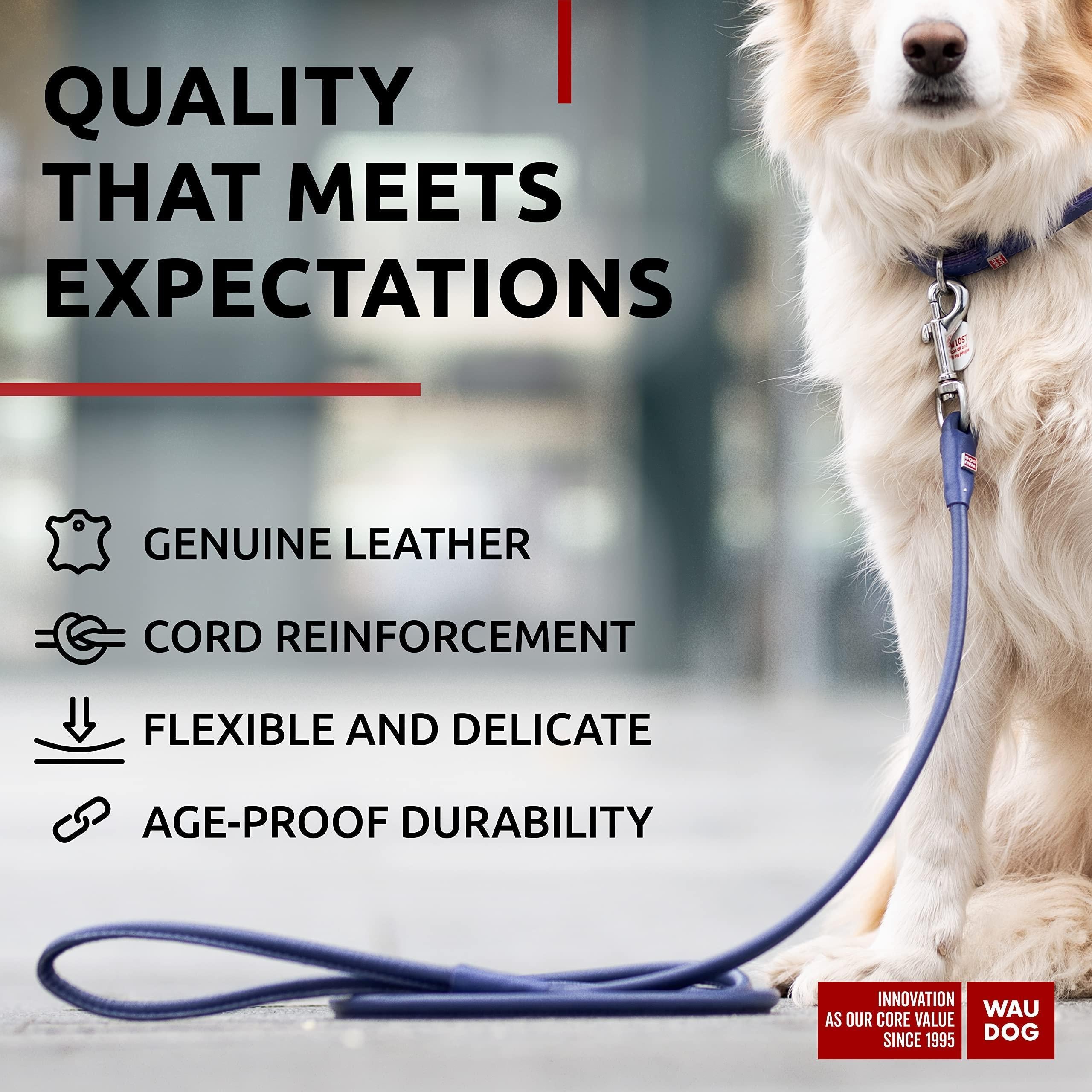 Rolled Leather Dog Leash 4 Ft X 0.4 in All Sizes Purple