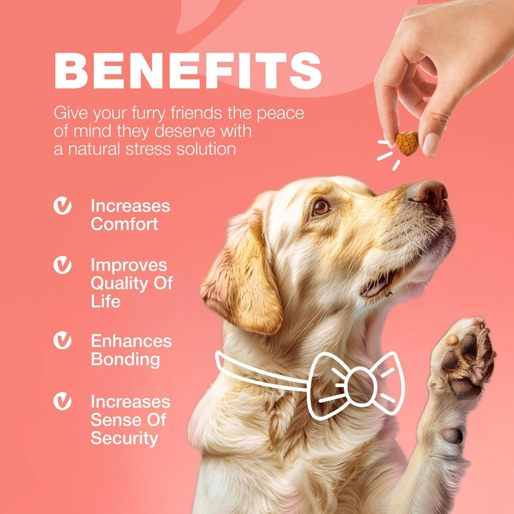 Dog Insects Treatment Chews Insects Control