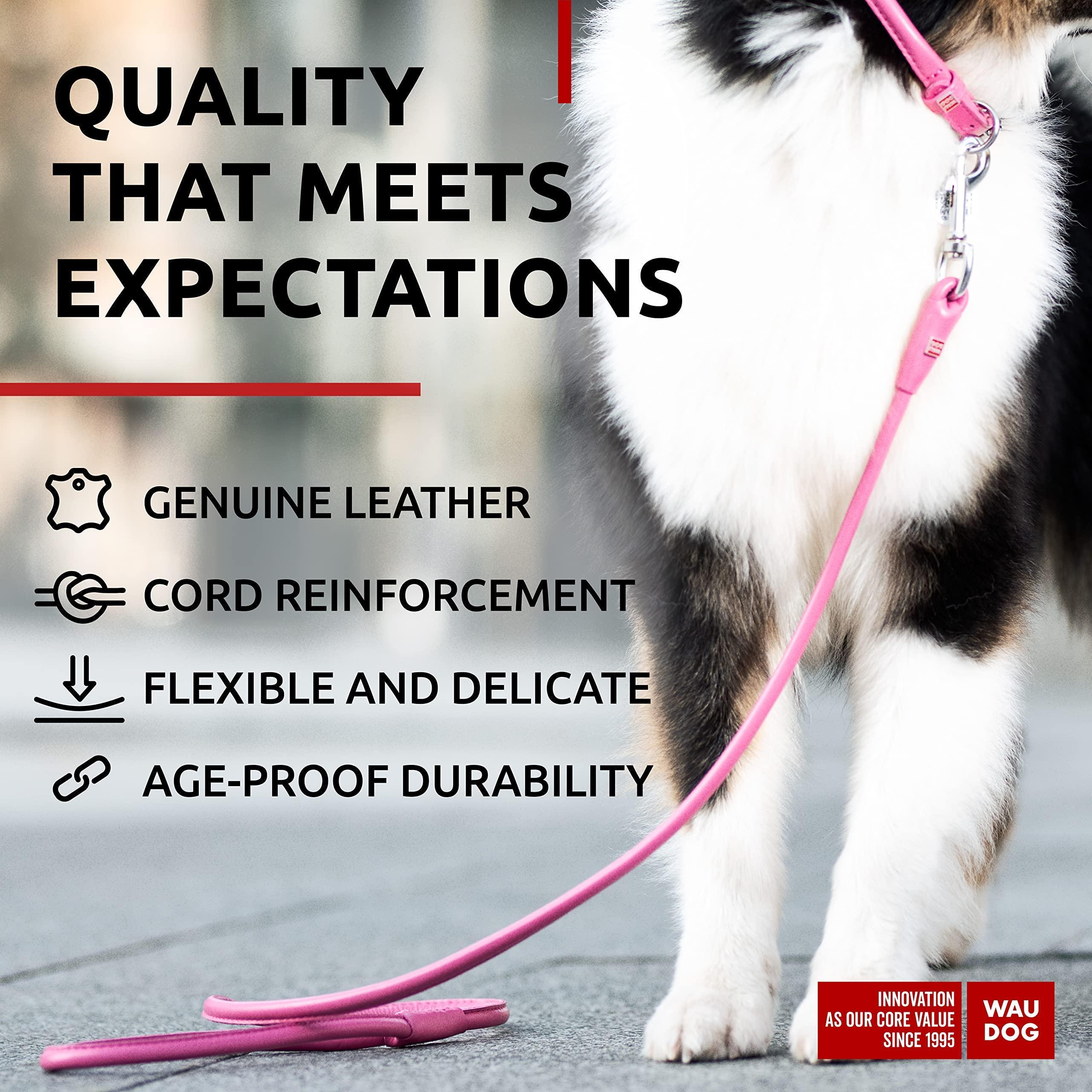Rolled Leather Dog Leash 4 Ft X 0.5 in All Sizes Pink