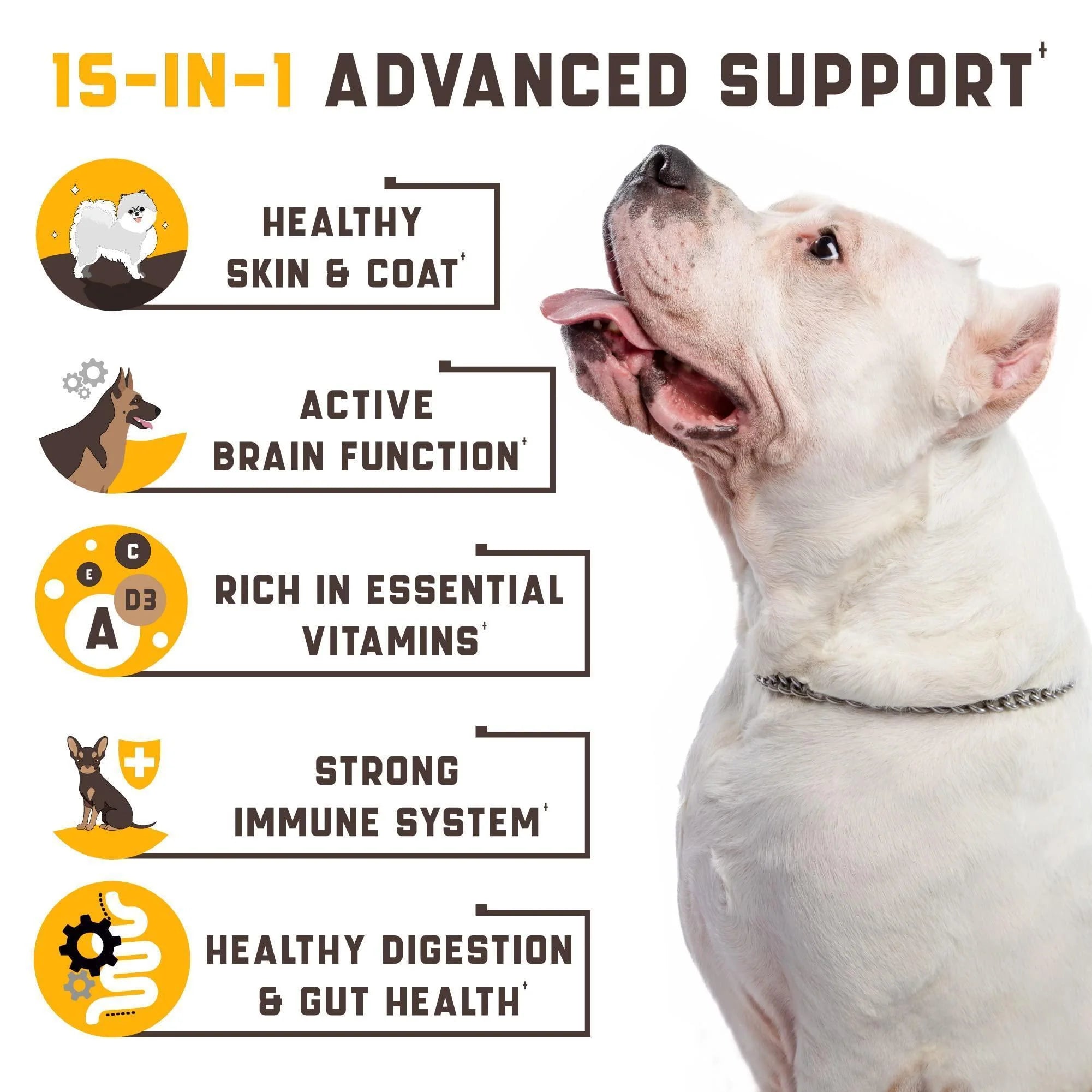 Dog Multivitamin 15-In-1 Immune Digestion Joint & Heart Health