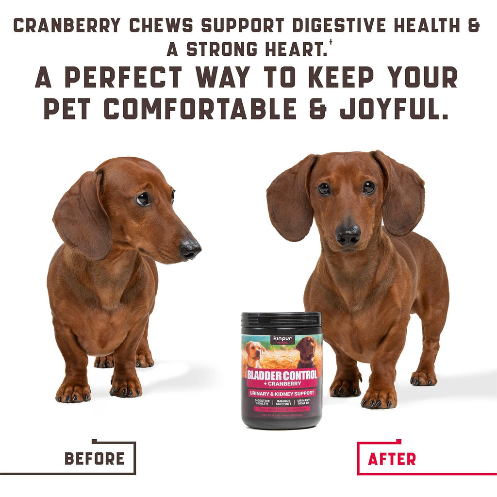 Cranberry Chews for Dogs 180 Count Urinary Tract Support