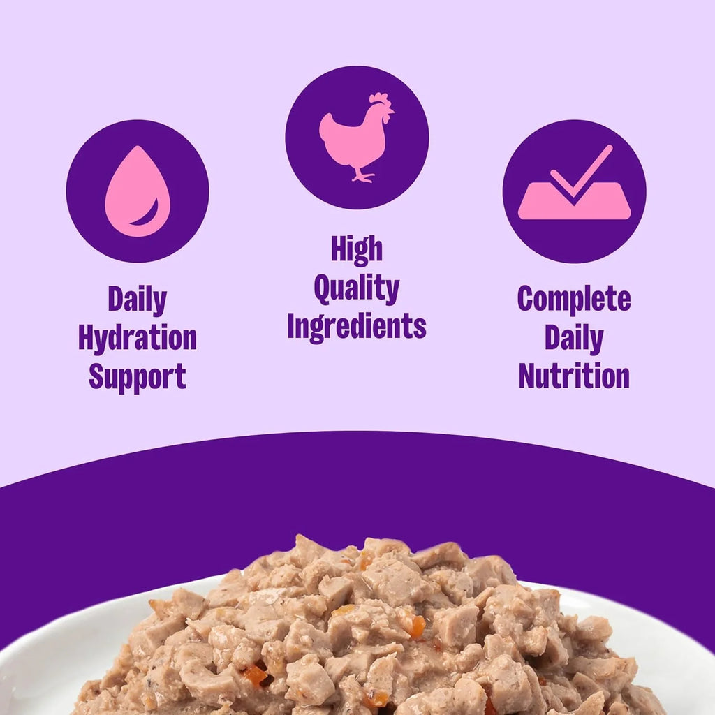 Complete Health Pate Adult Wet Cat Food, Natural, Protein-Rich, Grain Free, 3 Ounce, 24 Pack, (Chicken)
