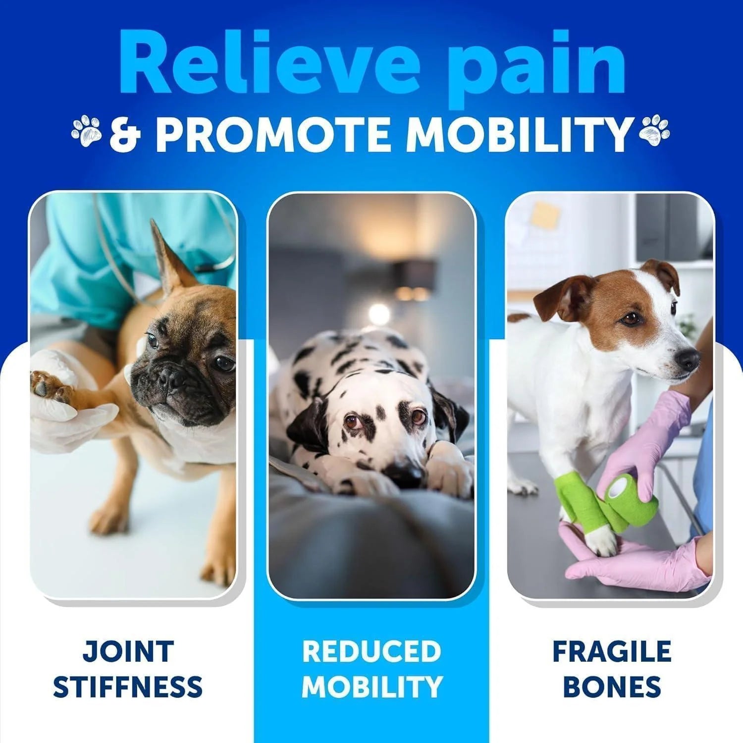 Hemp Hip & Joint Supplement for Dogs 240 Count 2-Pack Glucosamine Chondroitin & MSM