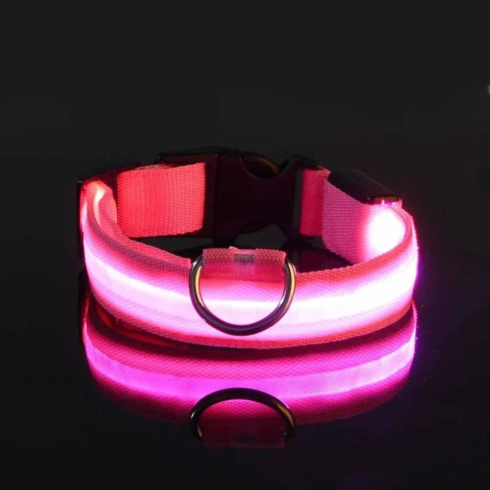 Dog Collar Nylon LED Night Safety Flashing Glow in the Dark Pet Dog Leash Pet Dogs Luminous Fluorescent Dog Accessories Collar (L)