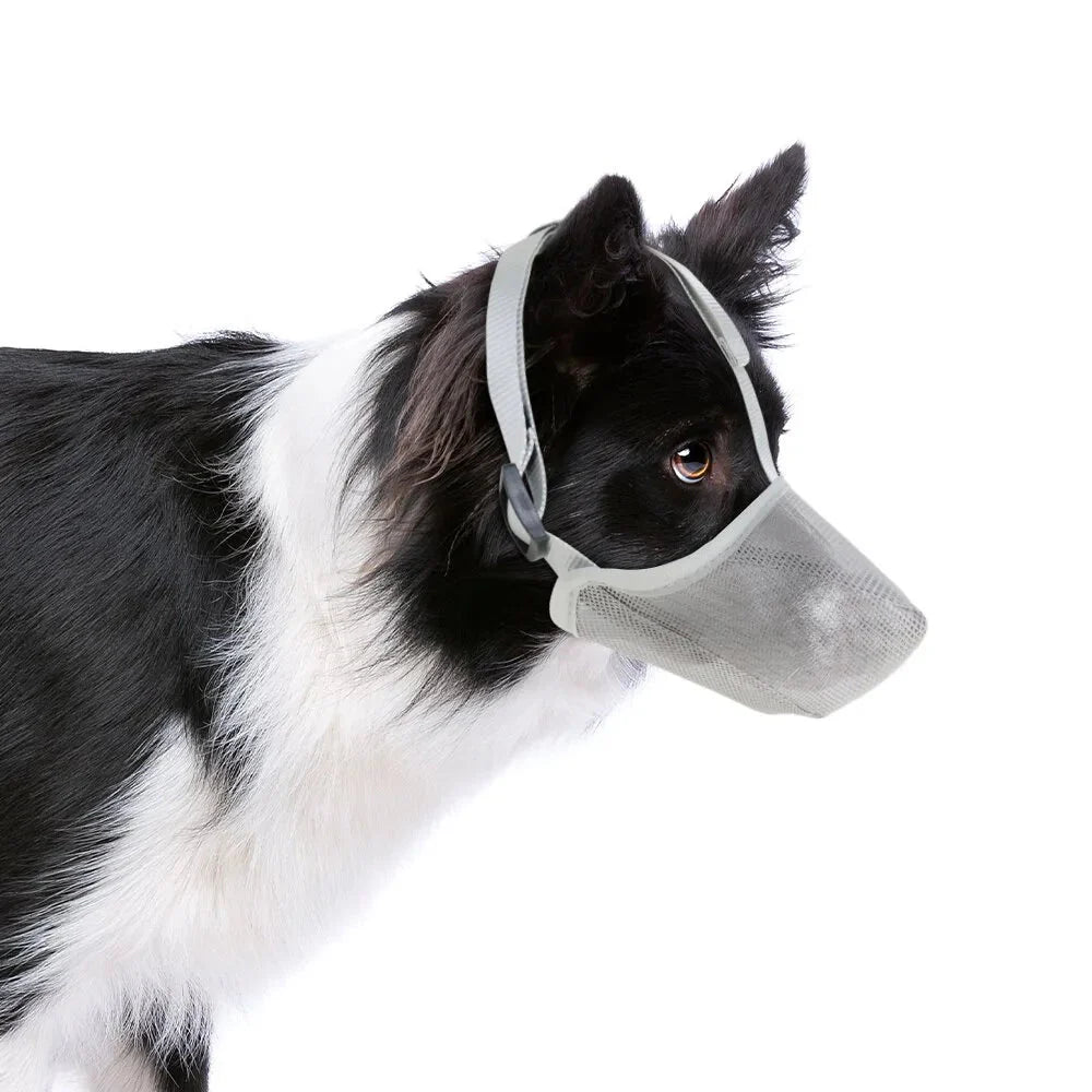 Breathable Soft Mesh Dog Muzzle – Lightweight Adjustable Basket Muzzle for Small Dogs, Comfortable and Durable Design