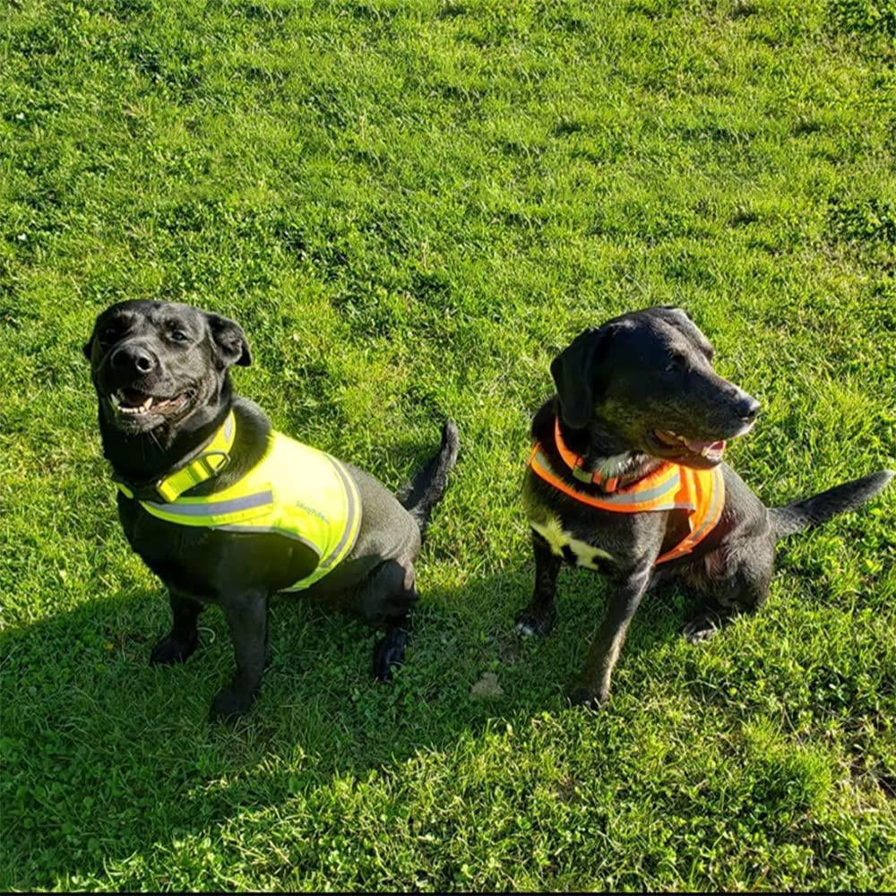 Reflective Lightweight Dog Vest Hi-Vis M Size Mid-Back Coverage