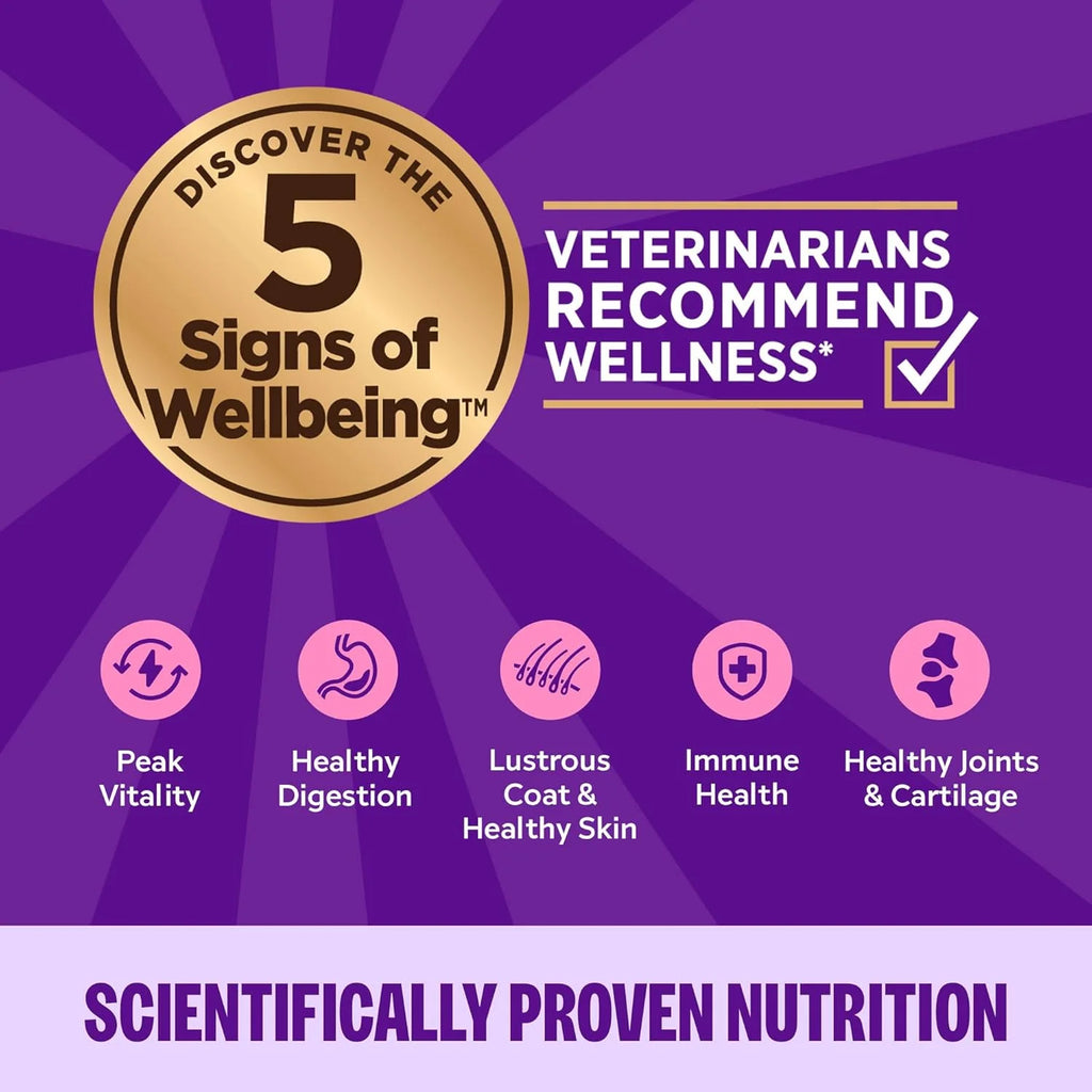Health Pate Adult Wet Cat Food, Natural, Protein-Rich, Grain Free, 3 Ounce, 24 Pack, (Chicken)
