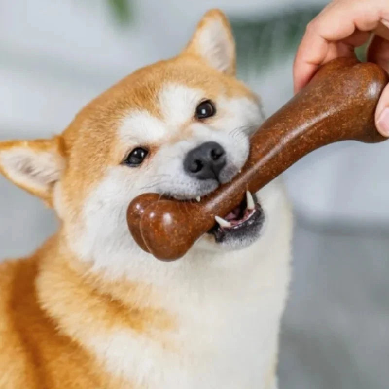 Natural Non-Toxic Indestructible Dog Bone Chew Toy Anti-Bite Puppy Teething Chew Toy for Small Medium Large Dogs Pet Chewbone
