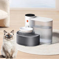 Smart Dump Cat Water Dispenser Running Water Rechargeable Automatic Water Dispenser for Pet Dogs