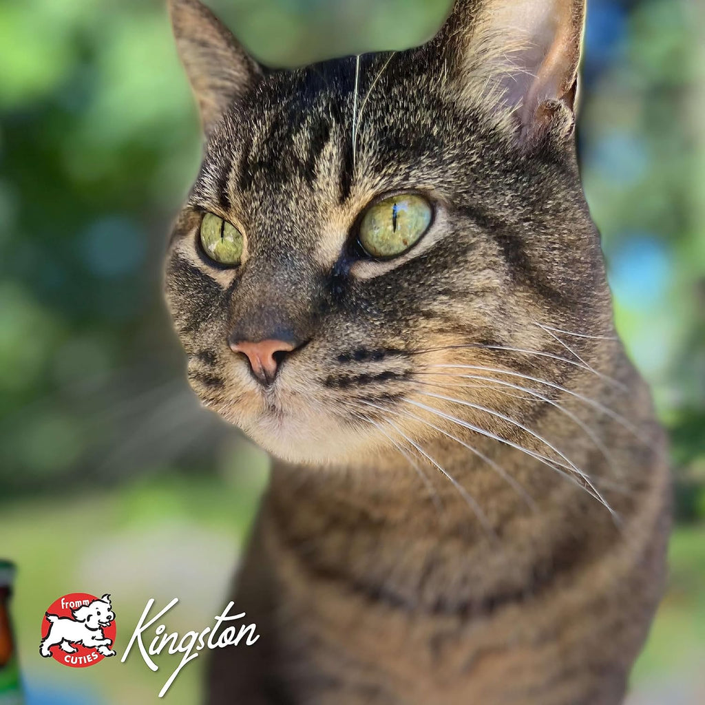 Nutritionals Hasen Duckenpfeffer Cat Food - Premium Dry Cat Food - Rabbit Recipe - 4 Lb