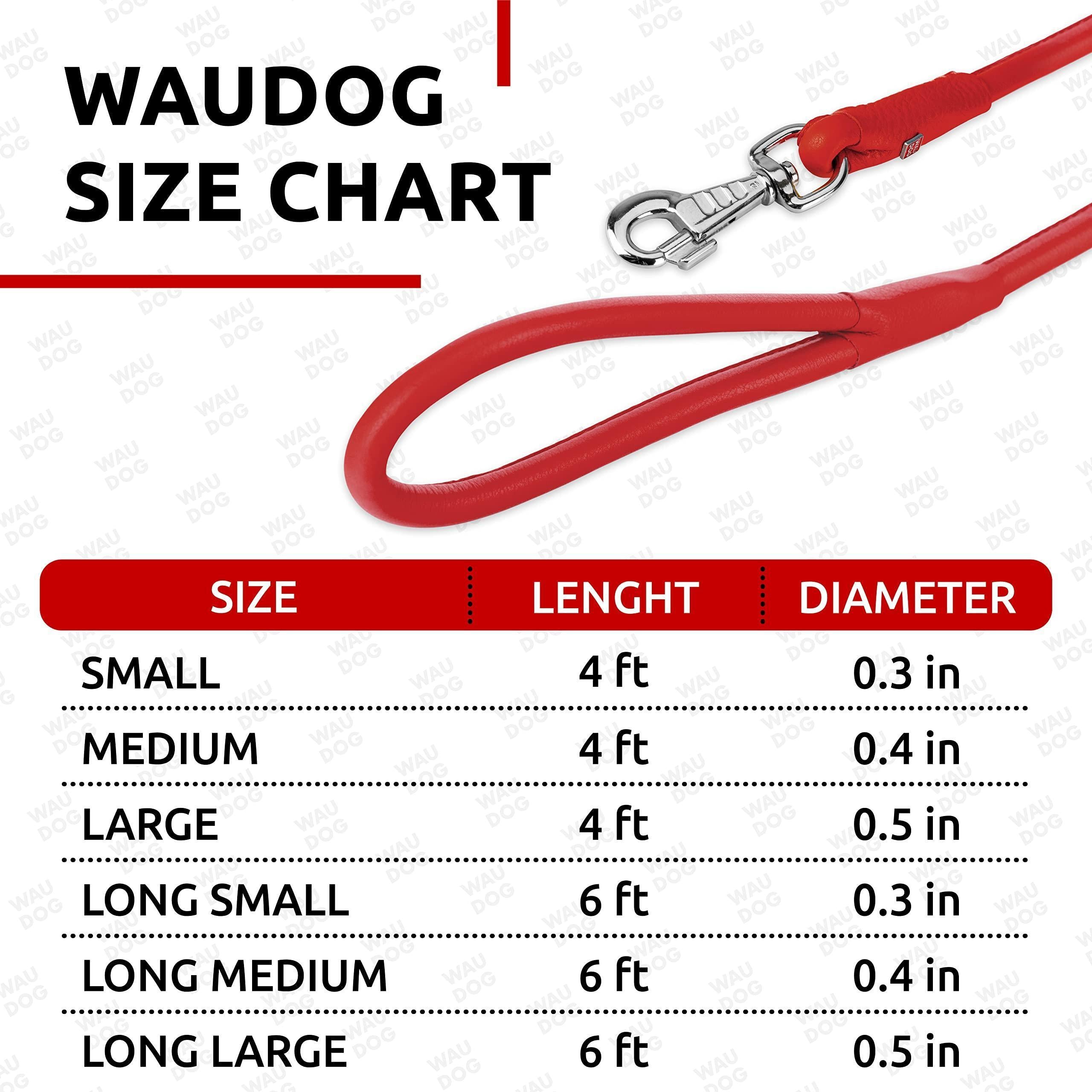 Rolled Leather Dog Leash 4 Ft X 0.3 in All Sizes Red