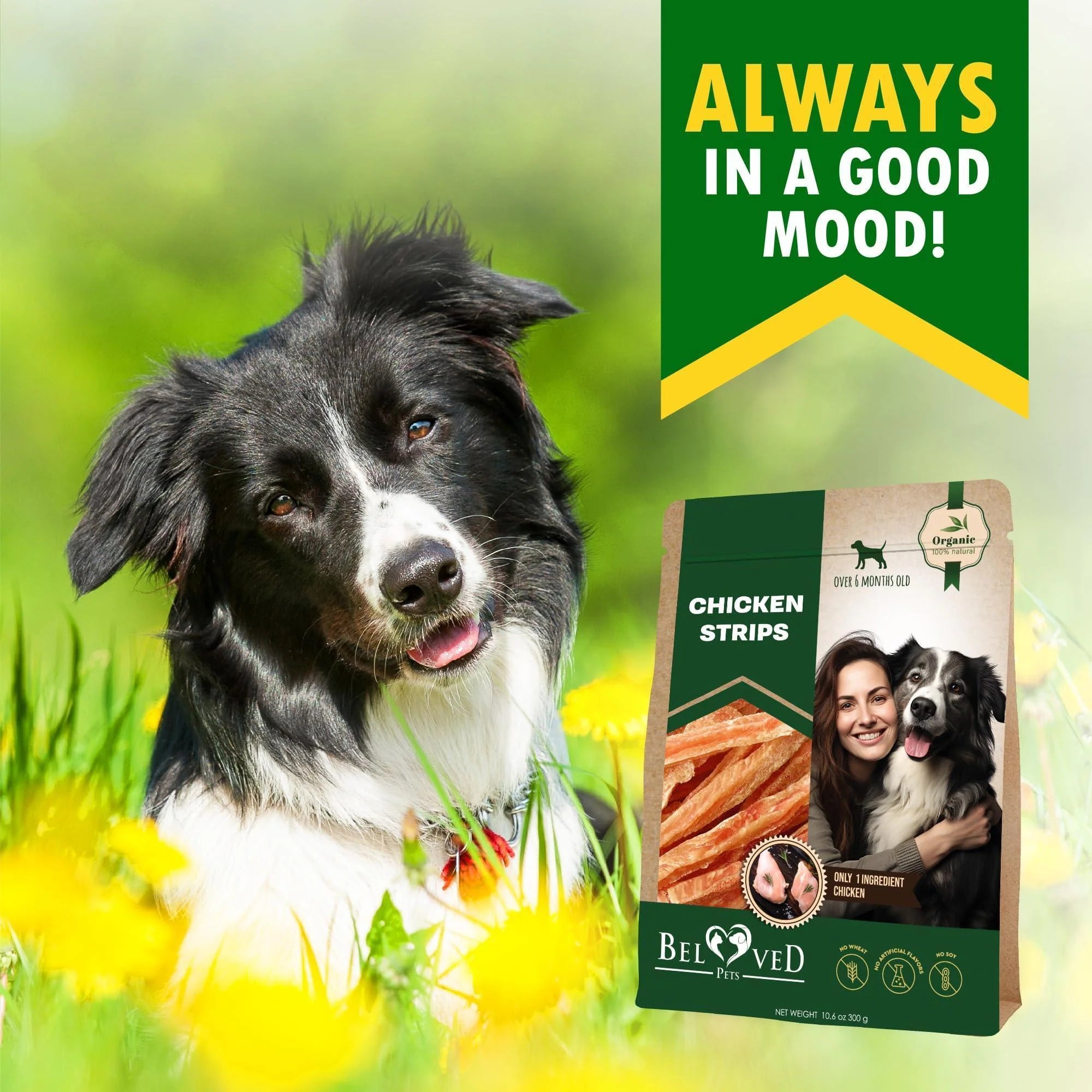 Chicken Strips Dog Treats Human-Grade Grain-Free 10.6 Oz