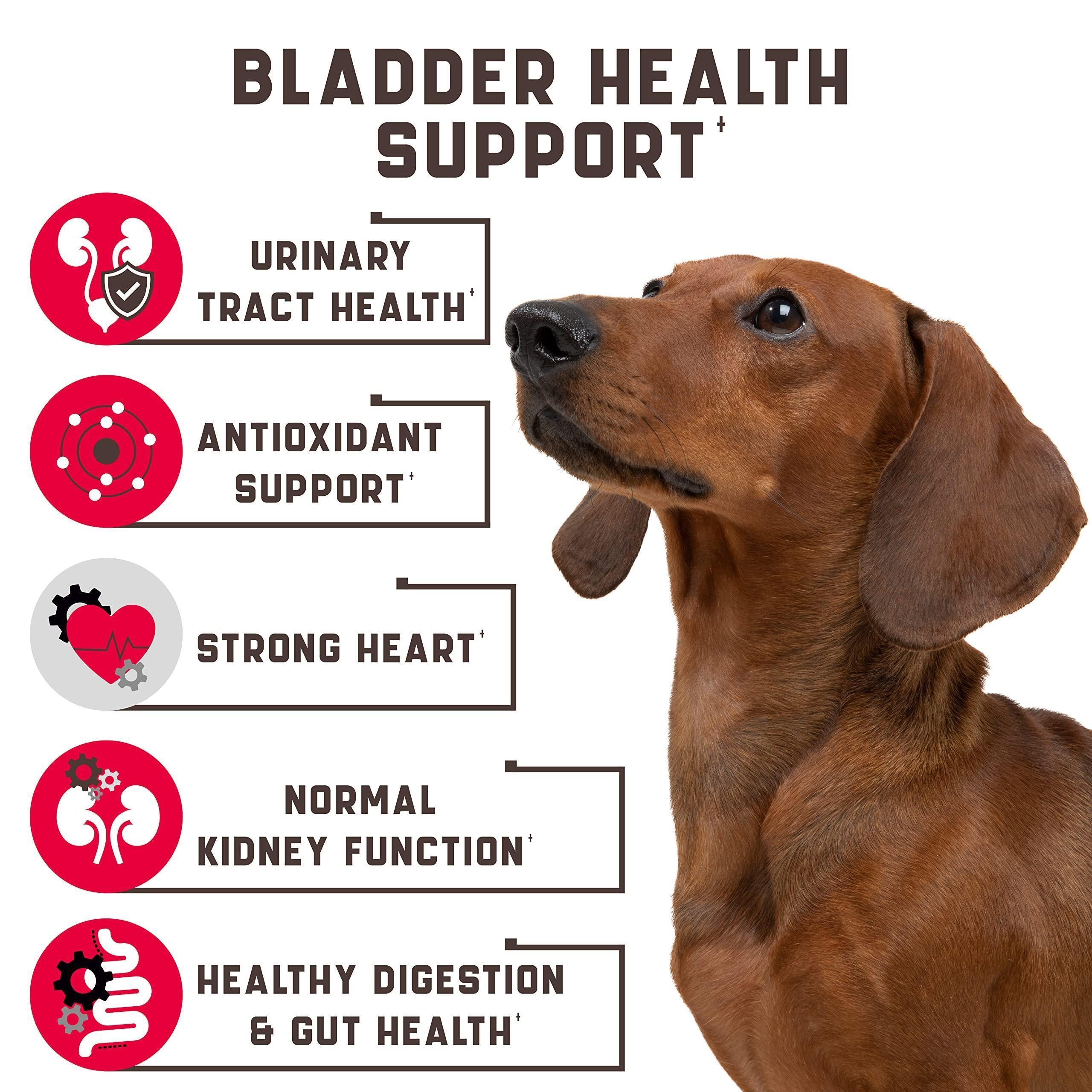 Cranberry Chews for Dogs 180 Count Urinary Tract Support