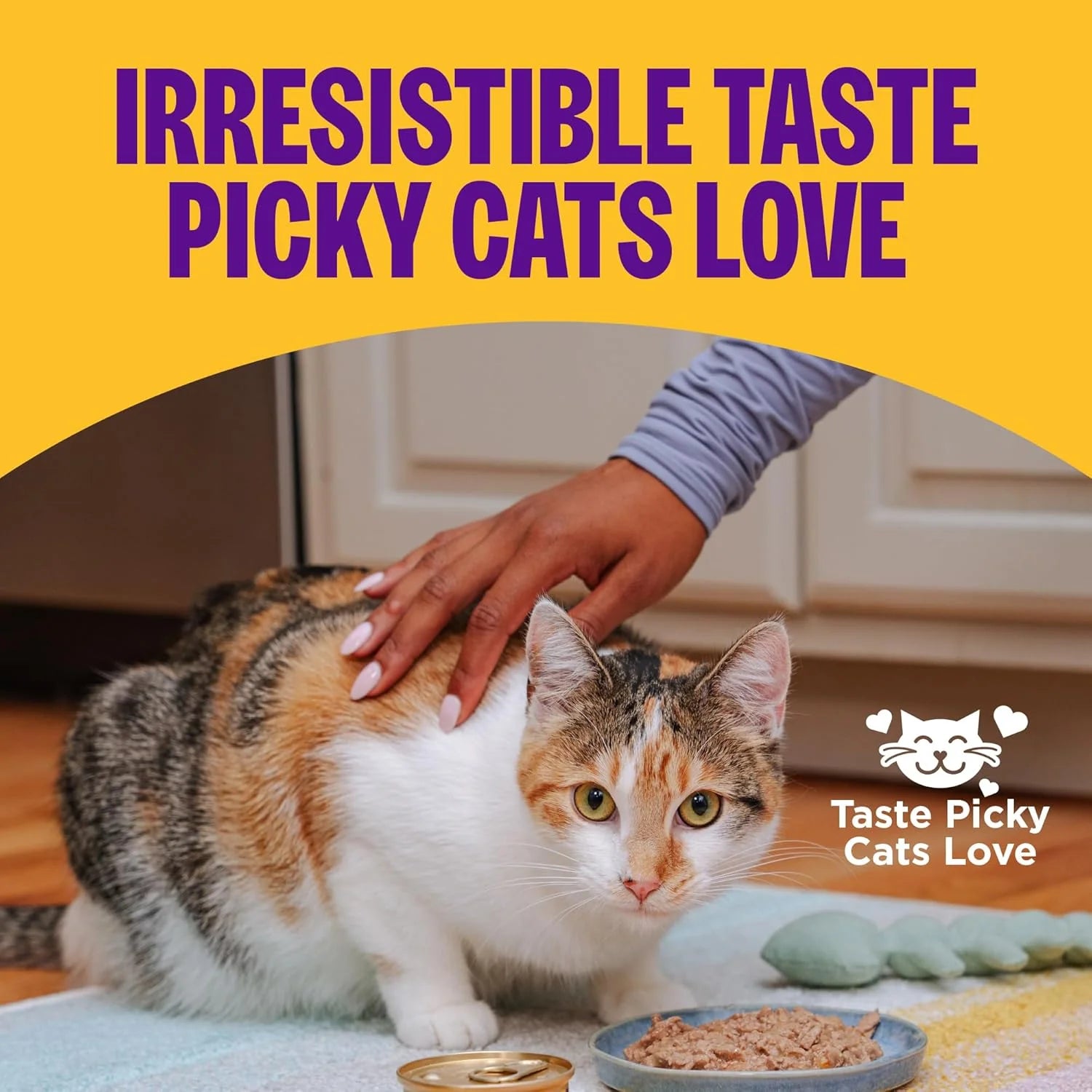 Health Pate Adult Wet Cat Food, Natural, Protein-Rich, Grain Free, 3 Ounce, 24 Pack,(Beef & Salmon)