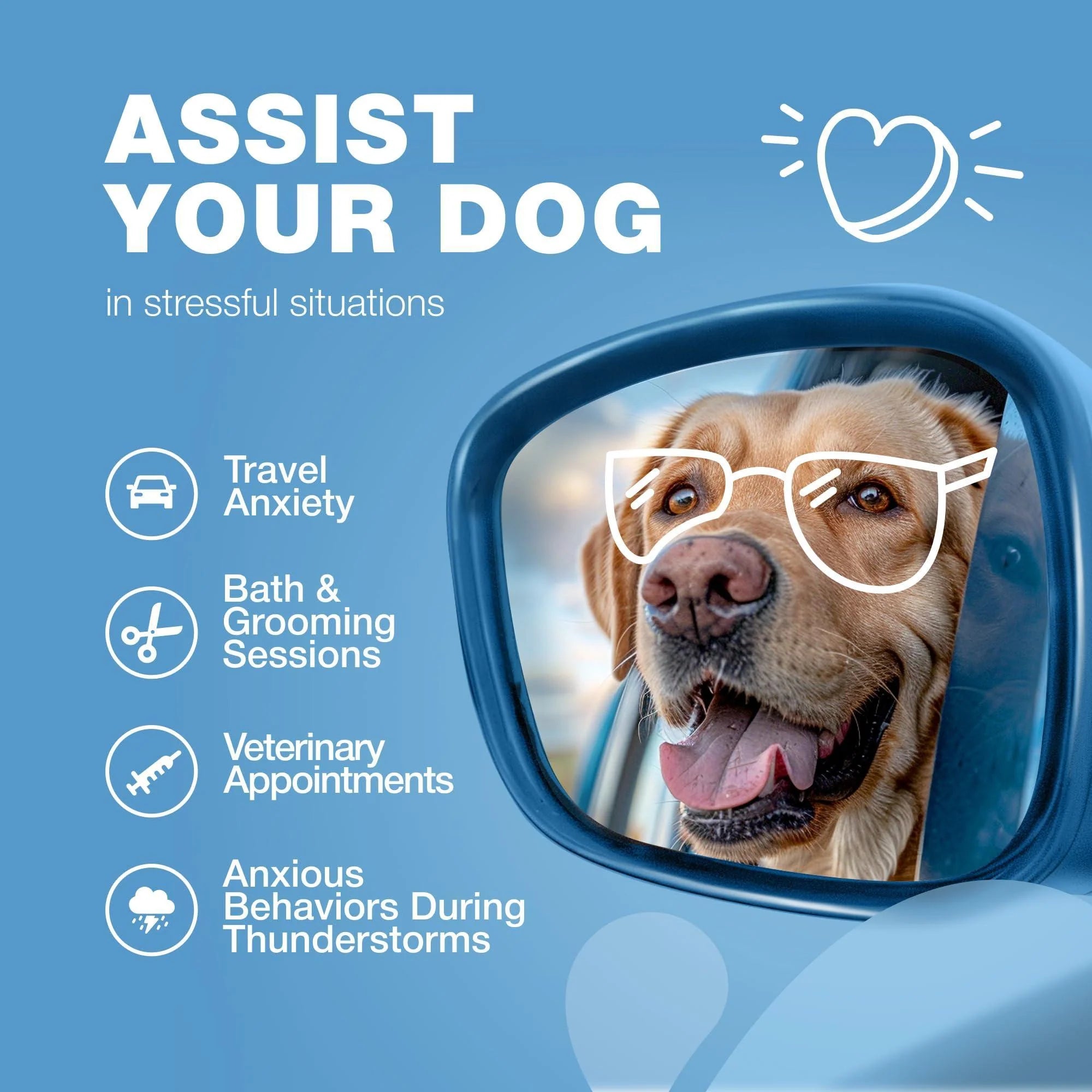 Hemp Calming Chews for Dogs Anxiety Relief L-Theanine & Chamomile
