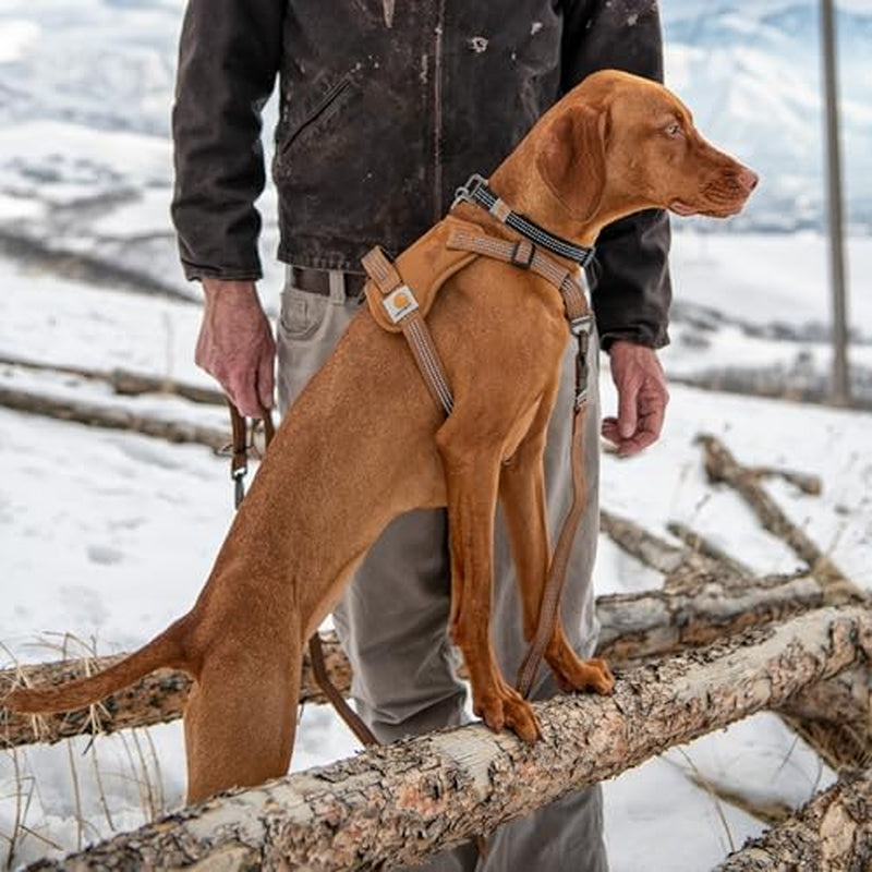 Nylon Duck No Pull Dog Harness, Fully Adjustable Dog Harness with Quick Control Handle and Reflective Accents, Deep Wine, Medium