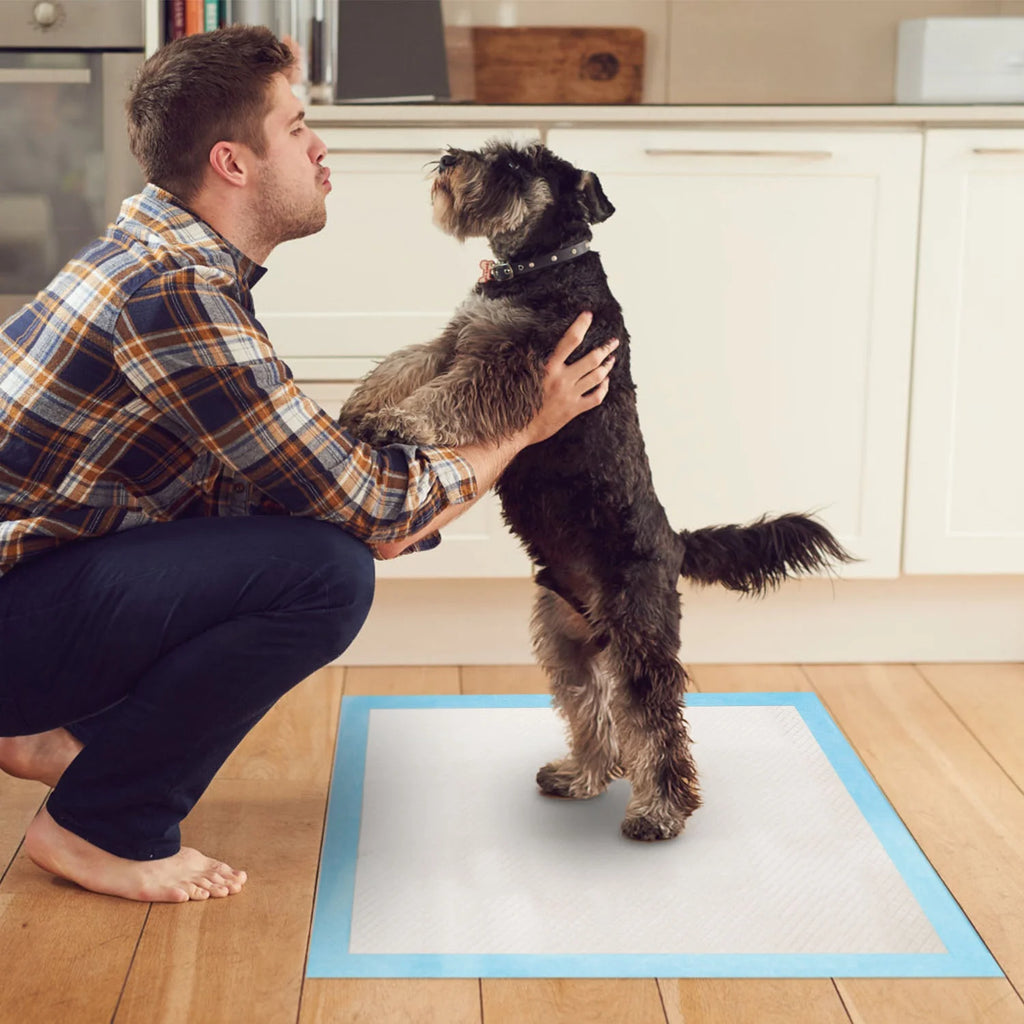 50Pcs per Set Dog Training Pads Puppy Pee Pads Cat Wee Mats Potty-Train 24In X 18In M