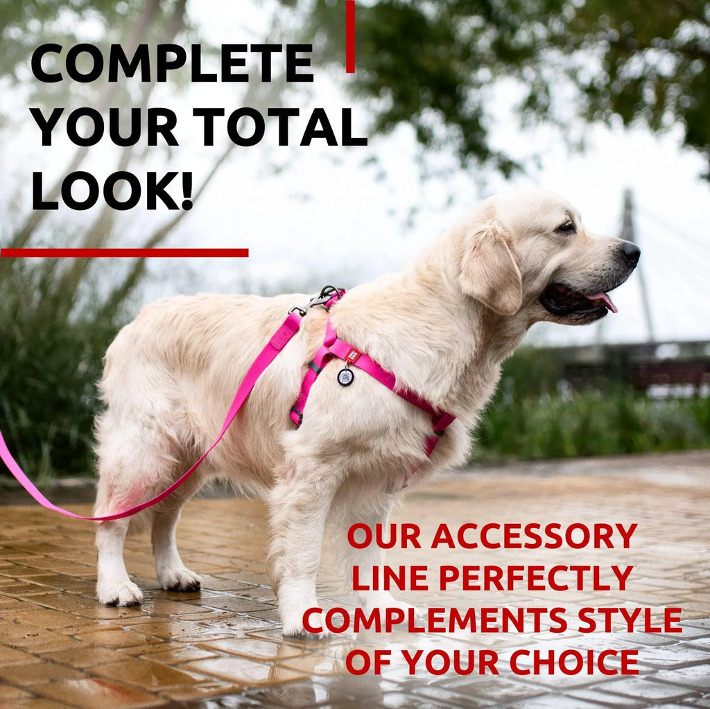 Waterproof Dog Leash 4 Ft & 6 Ft Anti-Slip All Sizes Pink
