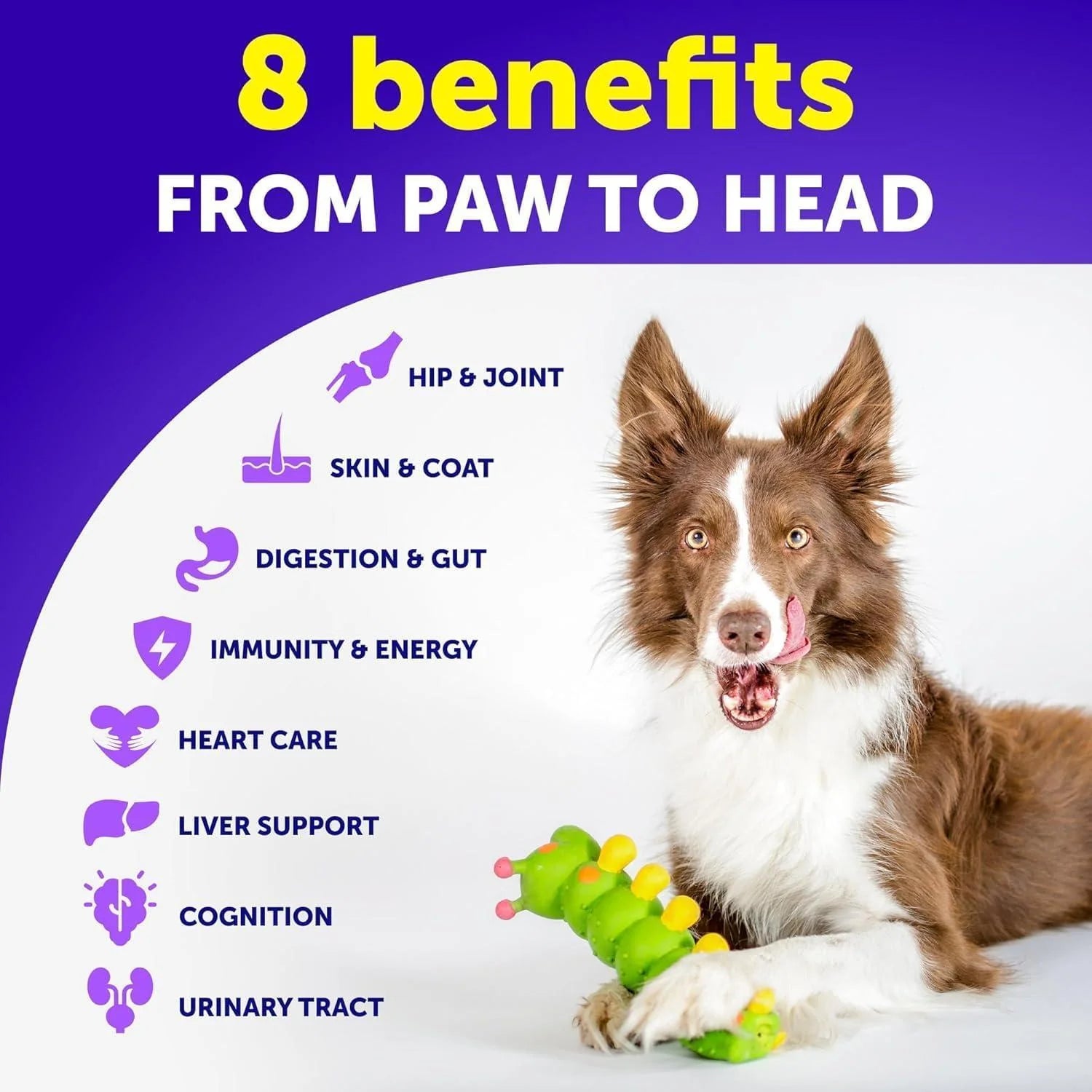 Dog Multivitamin Chews with Glucosamine 20-In-1