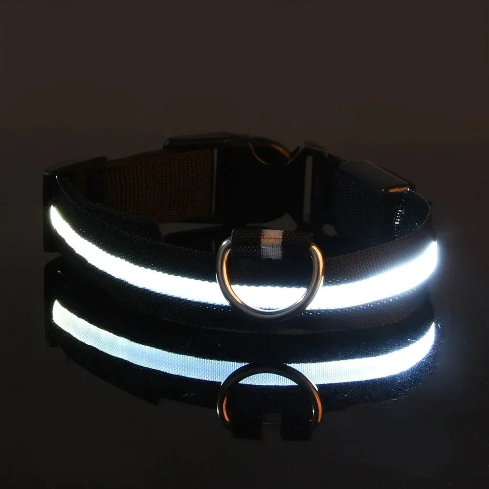 Dog Collar Nylon LED Night Safety Flashing Glow in the Dark Pet Dog Leash Pet Dogs Luminous Fluorescent Dog Accessories Collar (L)