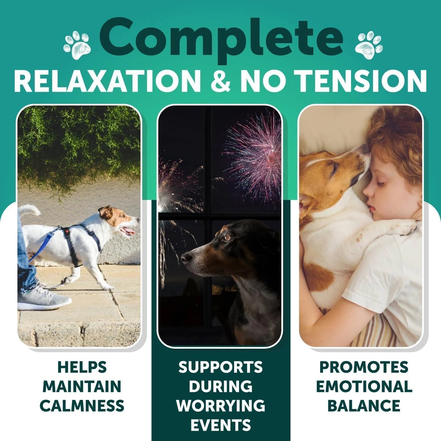 Calming Chews for Dogs 120 Count Anxiety Relief Turmeric & Valerian