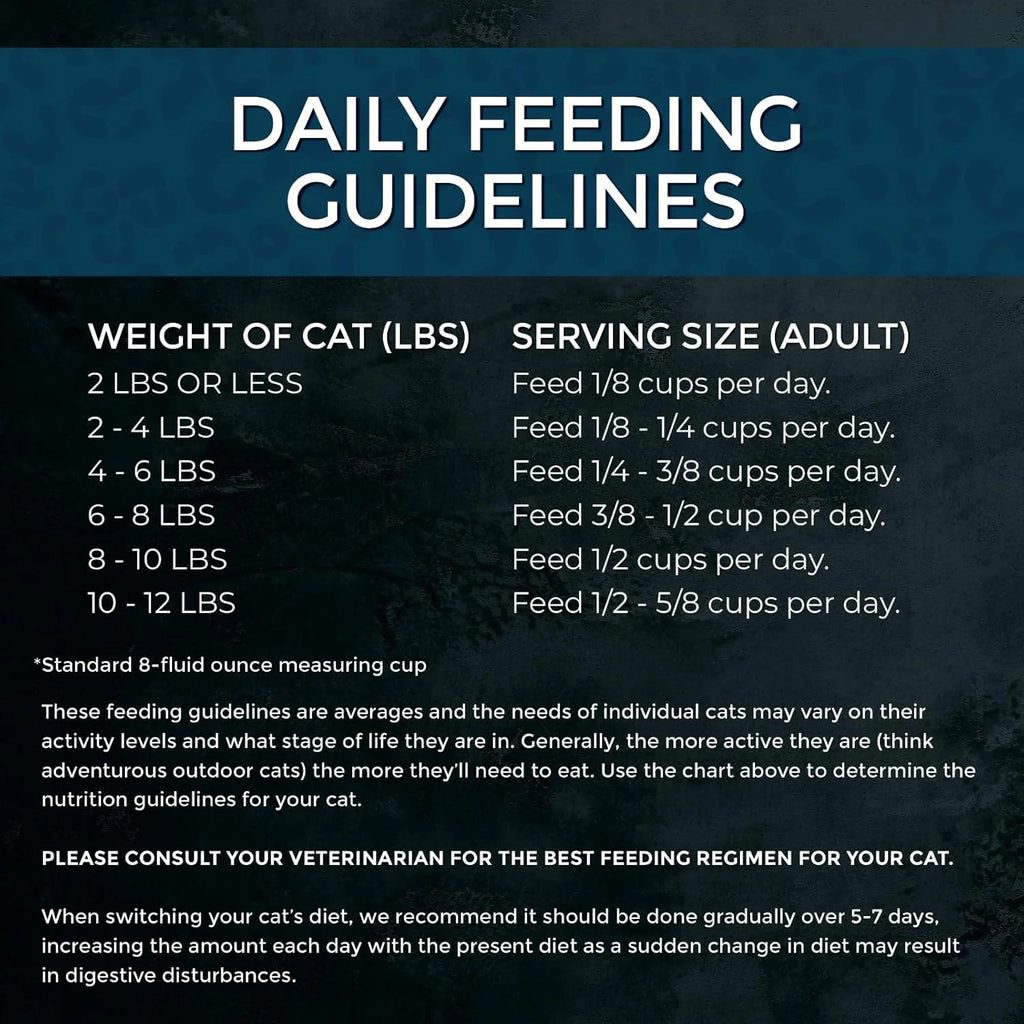 Cat Market Fresh Salmon Recipe,Dry Cat Food, 10Lb Bag
