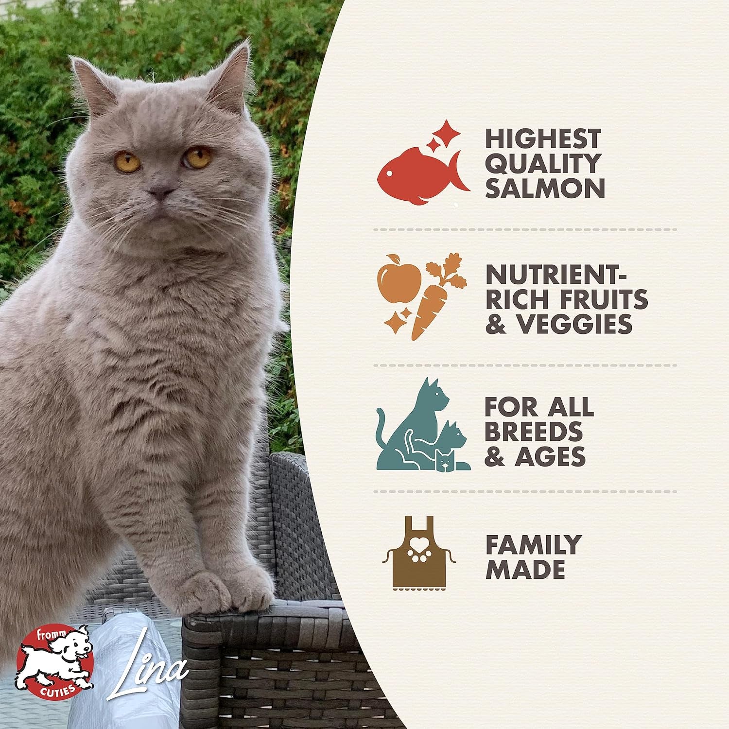 Nutritionals Salmon Tunachovy Cat Food - Premium Dry Cat Food - Salmon Recipe - 4 Lb