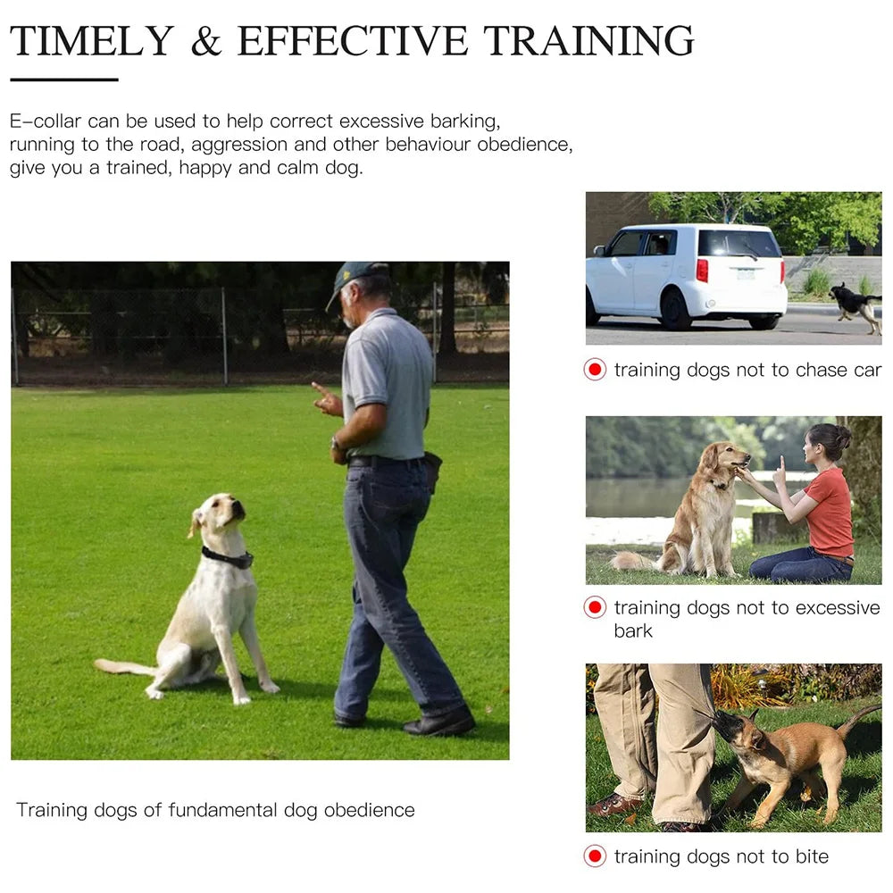 Luxora Rechargeable Waterproof Dog Training Collar with Remote, Multi-Mode Shock, Vibration