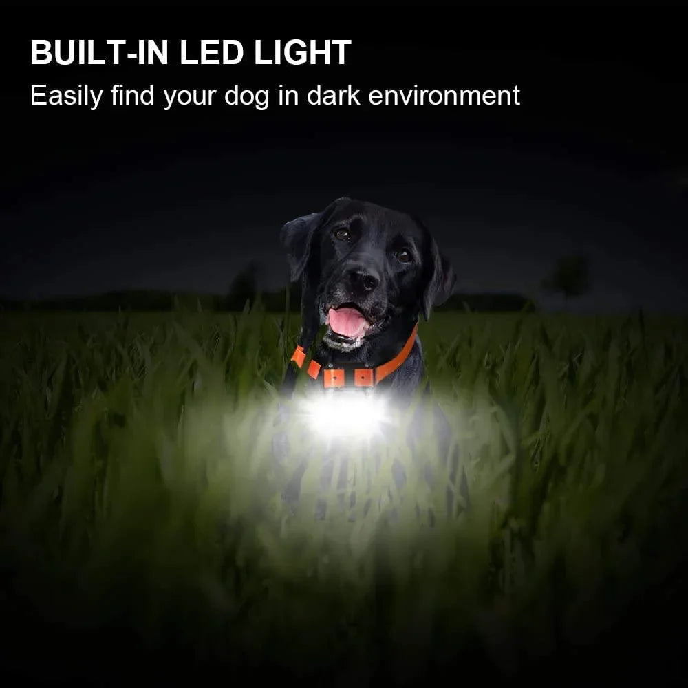 Luxora Rechargeable Waterproof Dog Training Collar with Remote, Multi-Mode Shock, Vibration