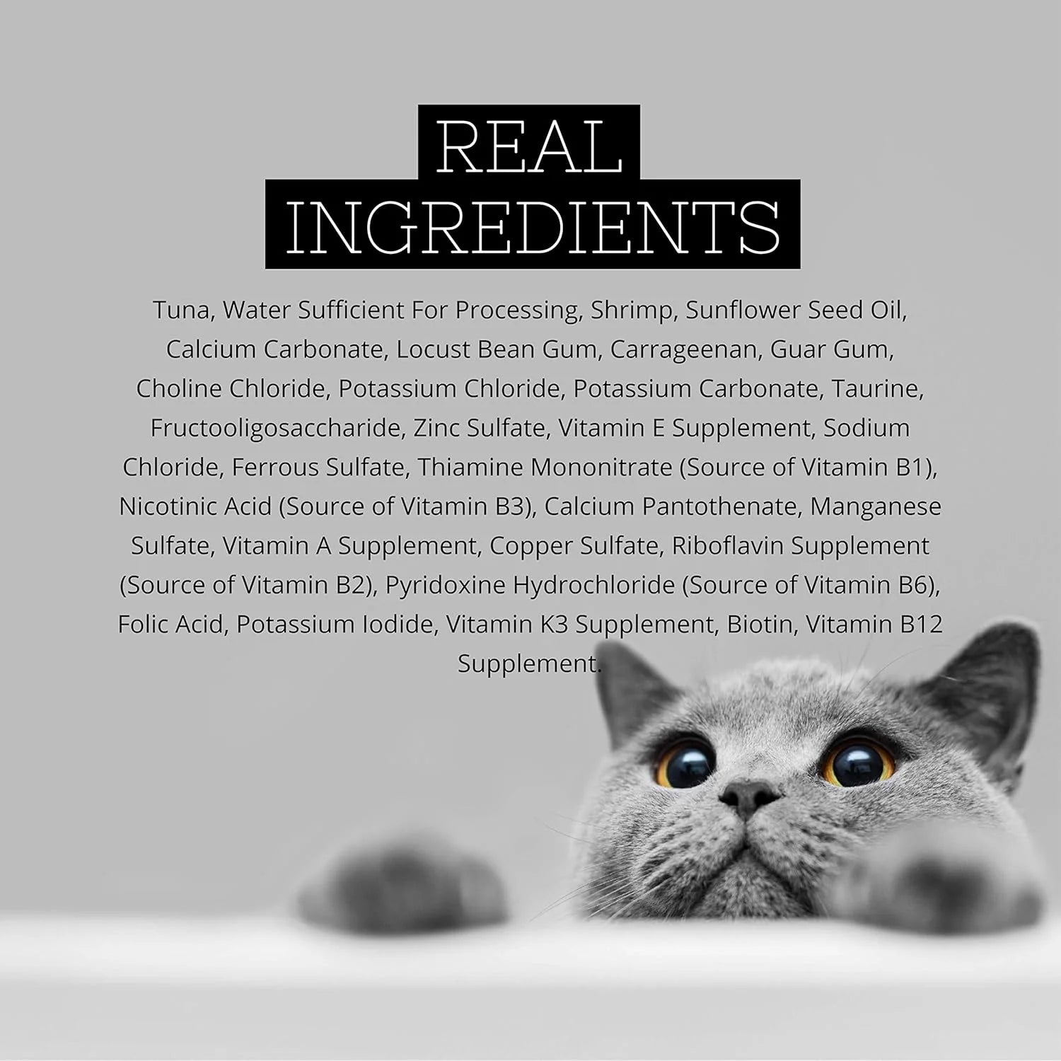 Premium Tuna with Shrimp in Aspic Grain-Free Wet Cat Food 2.82Oz, Case of 24