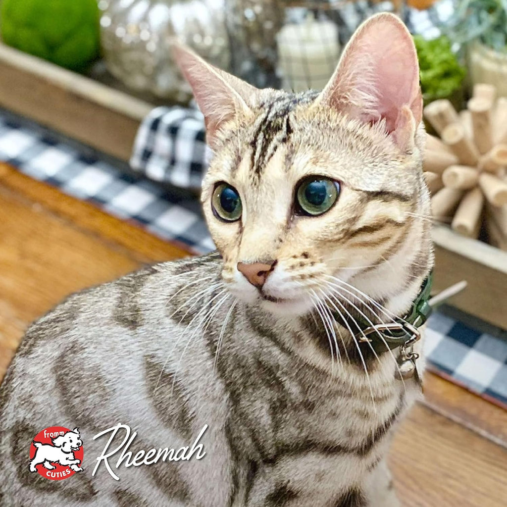 Nutritionals Hasen Duckenpfeffer Cat Food - Premium Dry Cat Food - Rabbit Recipe - 4 Lb