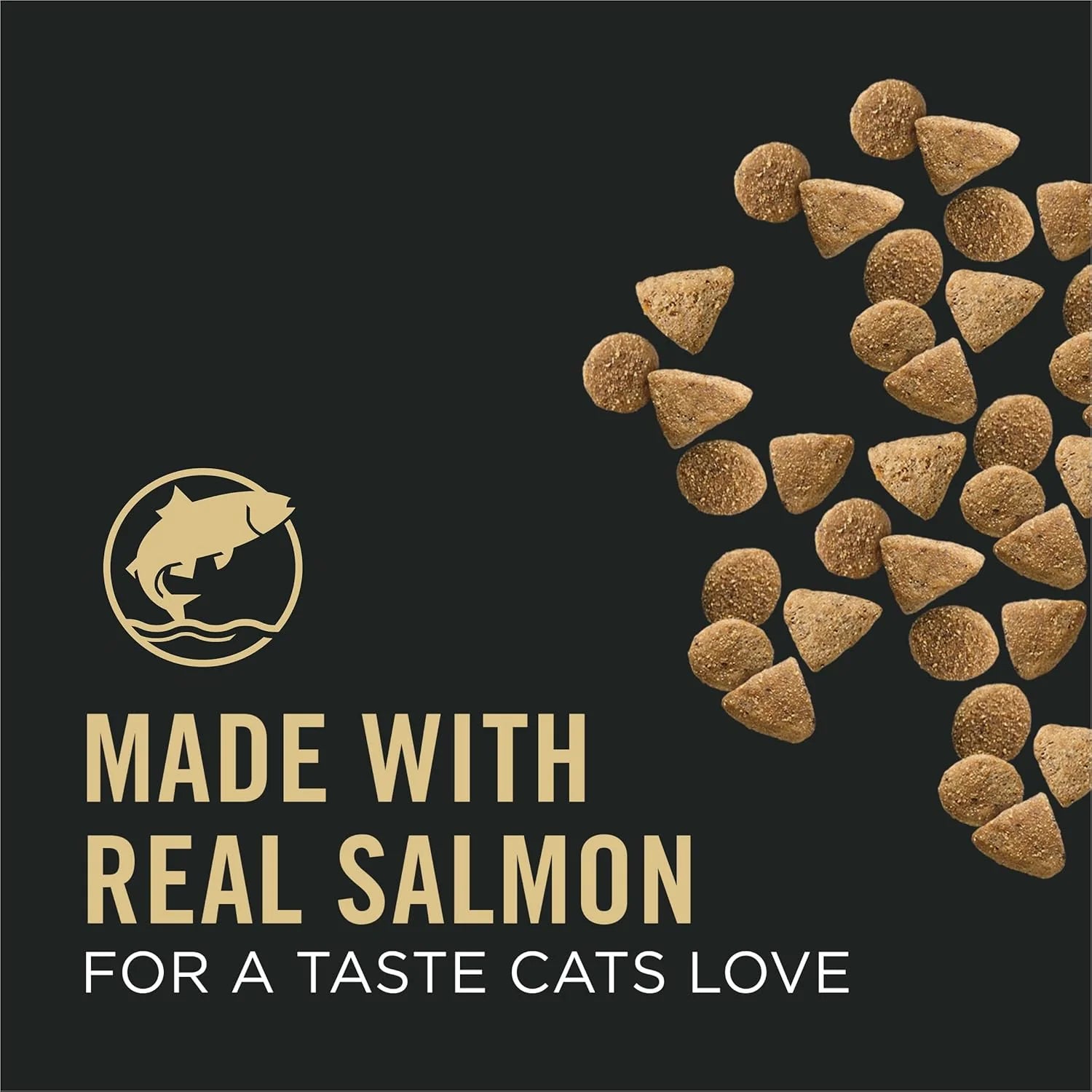 Vital Systems Salmon and Egg Formula 4-In-1 Adult Dry Cat Food - 3 Lb. Bag