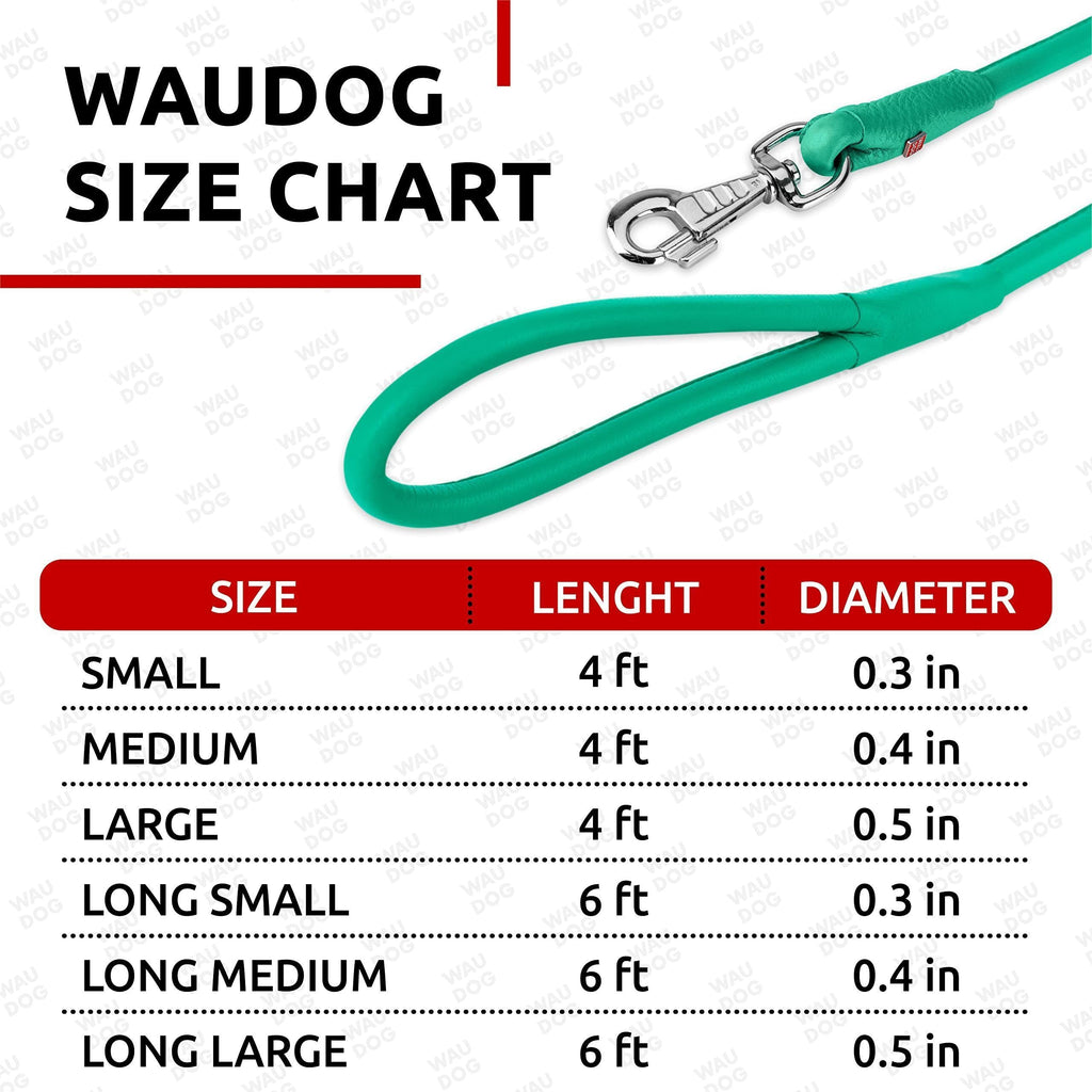 Rolled Leather Dog Leash 4 Ft X 0.4 in All Sizes Mint