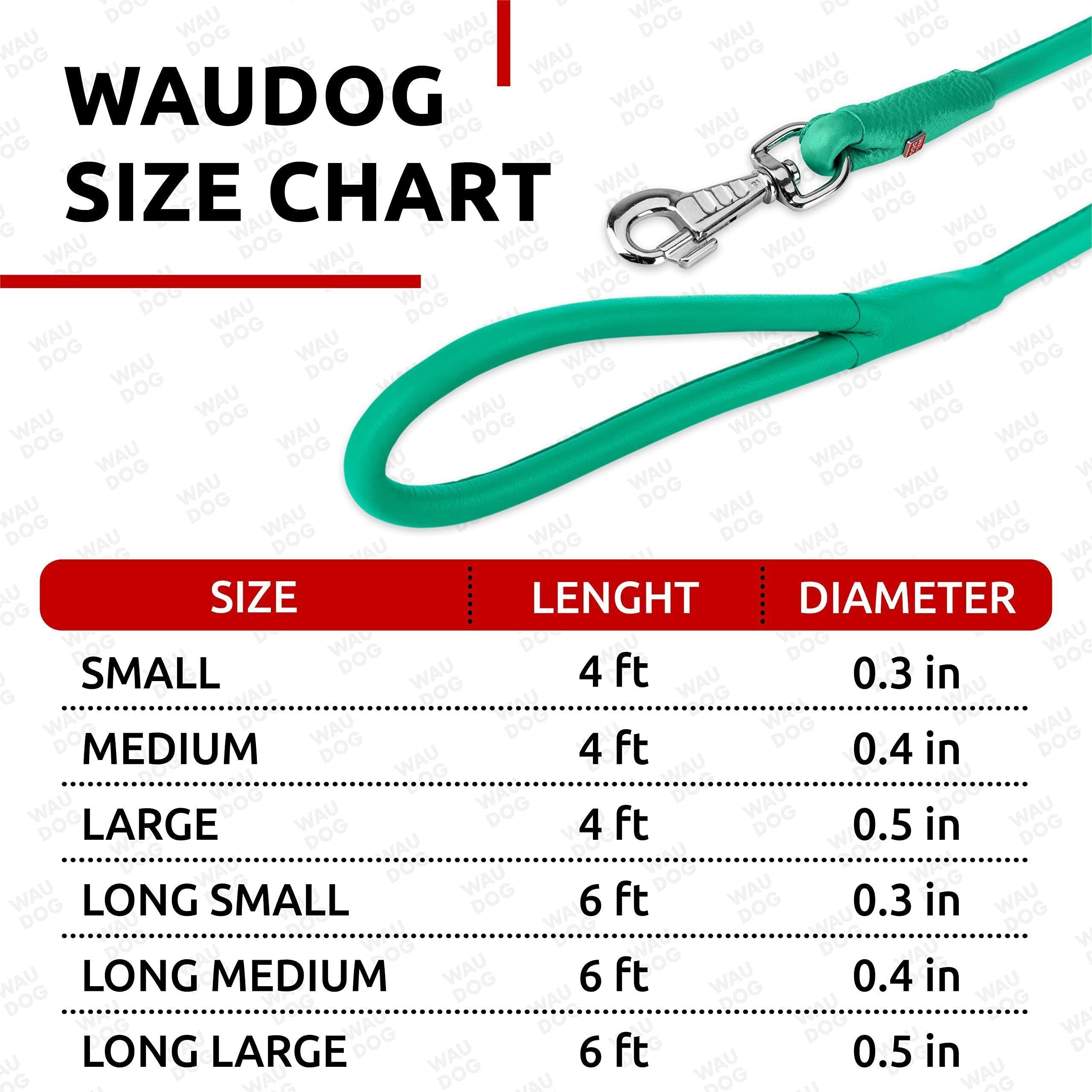 Rolled Leather Dog Leash 4 Ft X 0.4 in All Sizes Mint