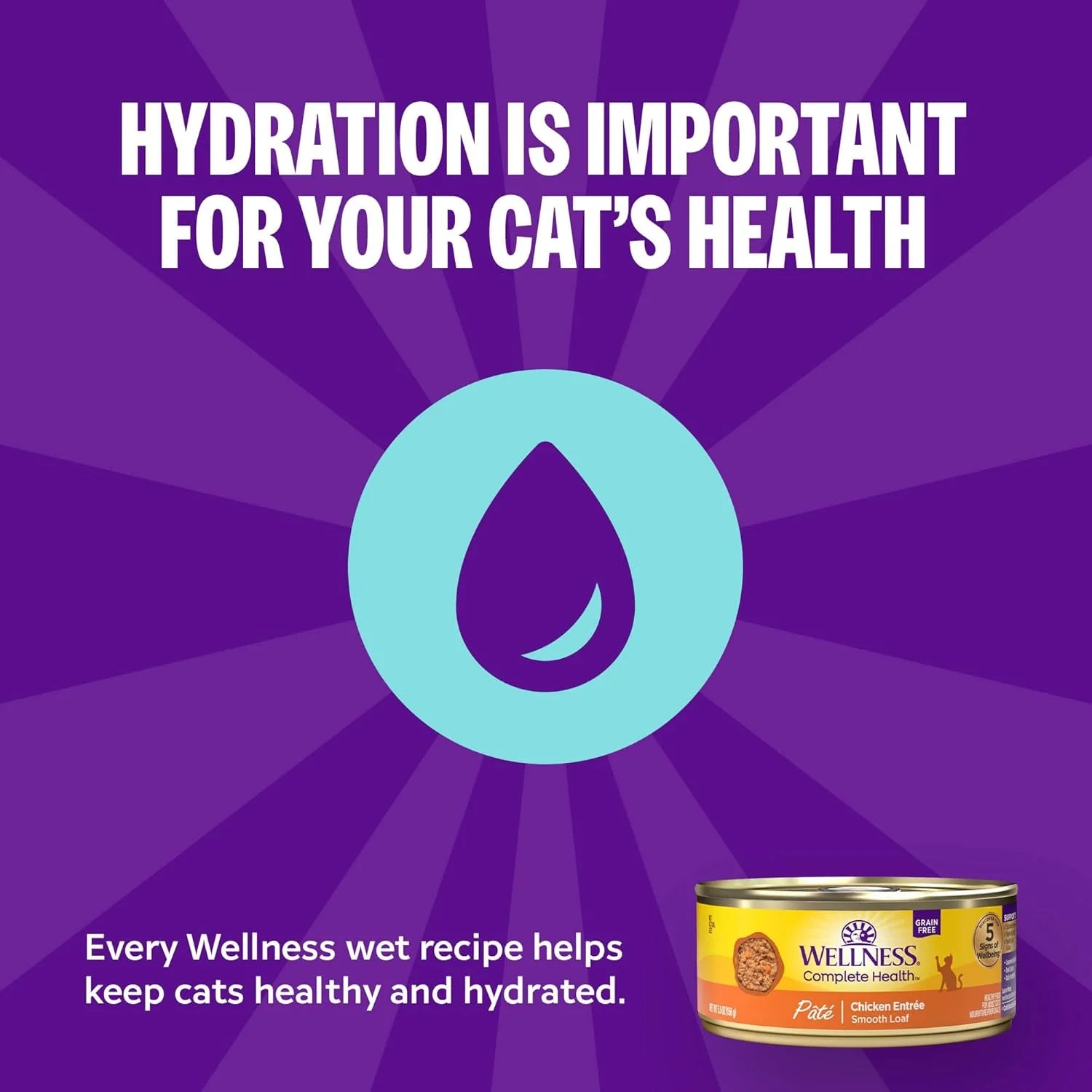Complete Health Pate Adult Wet Cat Food, Natural, Protein-Rich, Grain Free, 3 Ounce, 24 Pack, (Chicken)