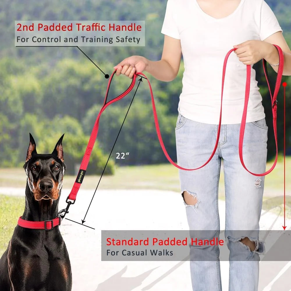 Double Handle Dog Leash, 6Ft, Padded, Heavy Duty, Reflective, Red, 2 Handle Leads