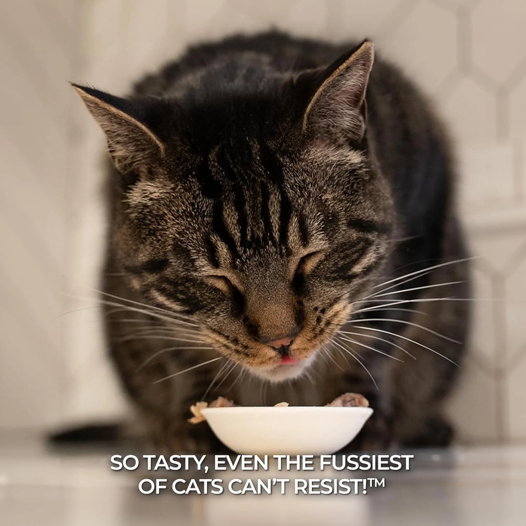 Premium Tuna with Chicken in Aspic Grain-Free Wet Cat Food - 2.82Oz Cans - Case of 24 Cans (Tuna with Chicken in Aspic)