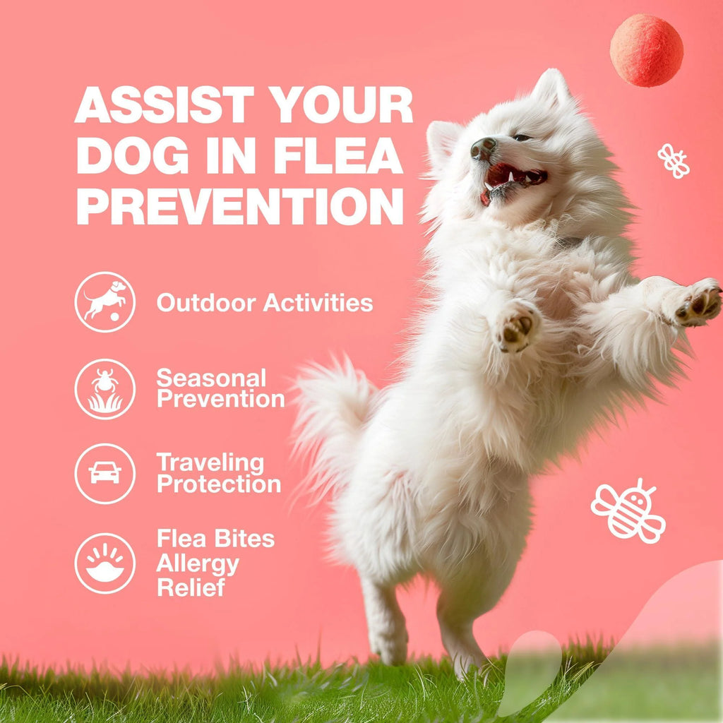 Dog Insects Treatment Chews Insects Control