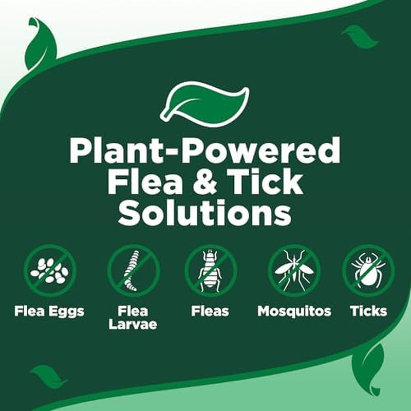 Natural Flea and Tick Spray for Dogs – Plant-Based Flea Repellent with Certified Essential Oils – Natural Pest Control and Prevention – Non-Toxic Formula for Home Use – 8 Oz Bottle